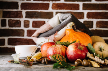 Картинка еда фрукты+и+овощи+вместе листья яблоки осень осенние плоды тыква