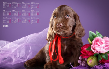 Картинка календари животные собака взгляд цветы