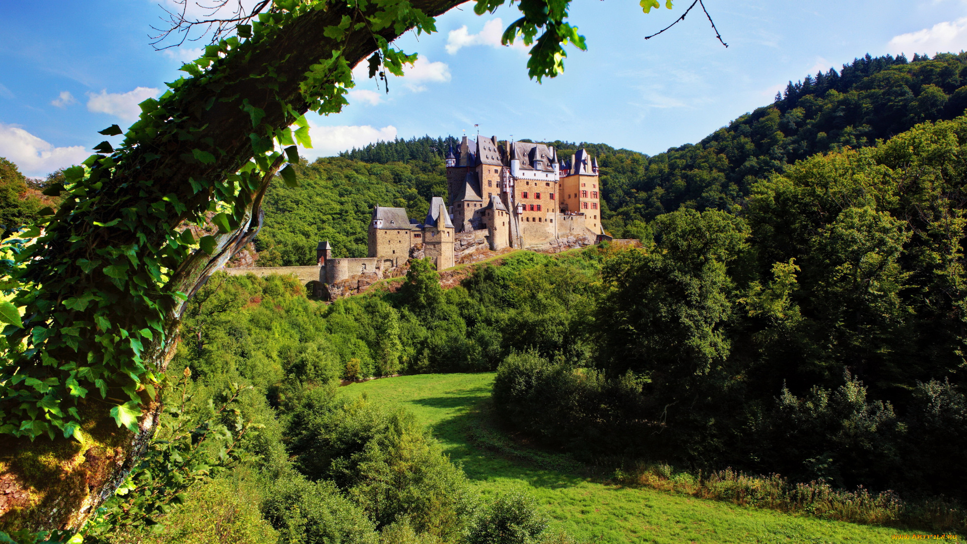 burg, eltz, германия, города, дворцы, замки, крепости, парк, замок