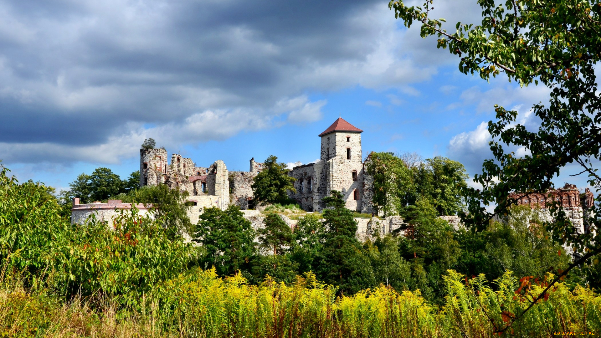 tenczyn, castle, города, исторические, архитектурные, памятники, замок, природа