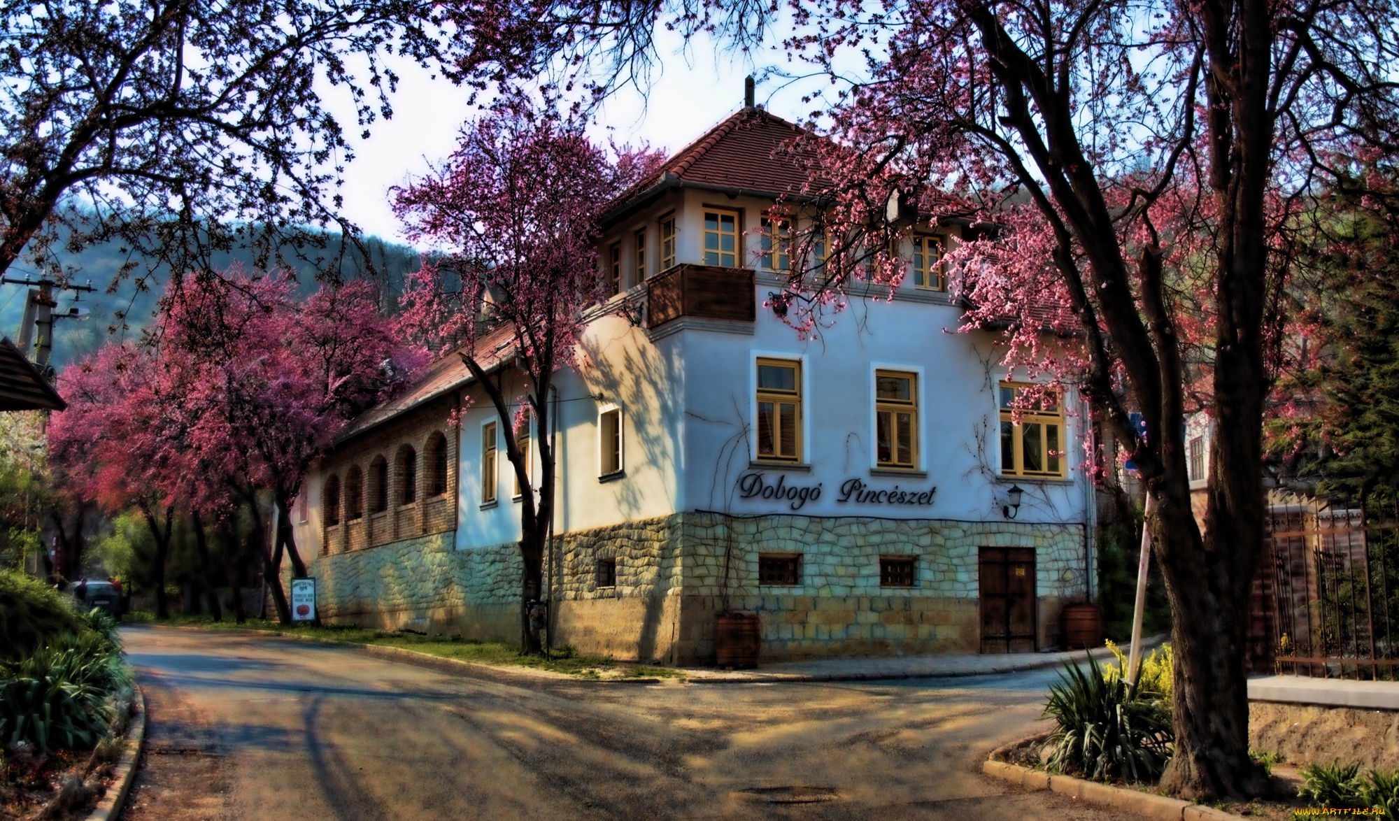 токай, венгрия, города, здания, дома, город, улица, надписи