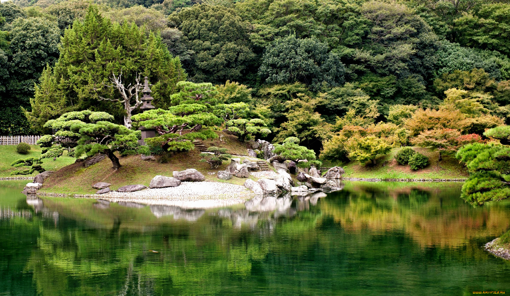 природа, парк, Япония, пруд, растительность