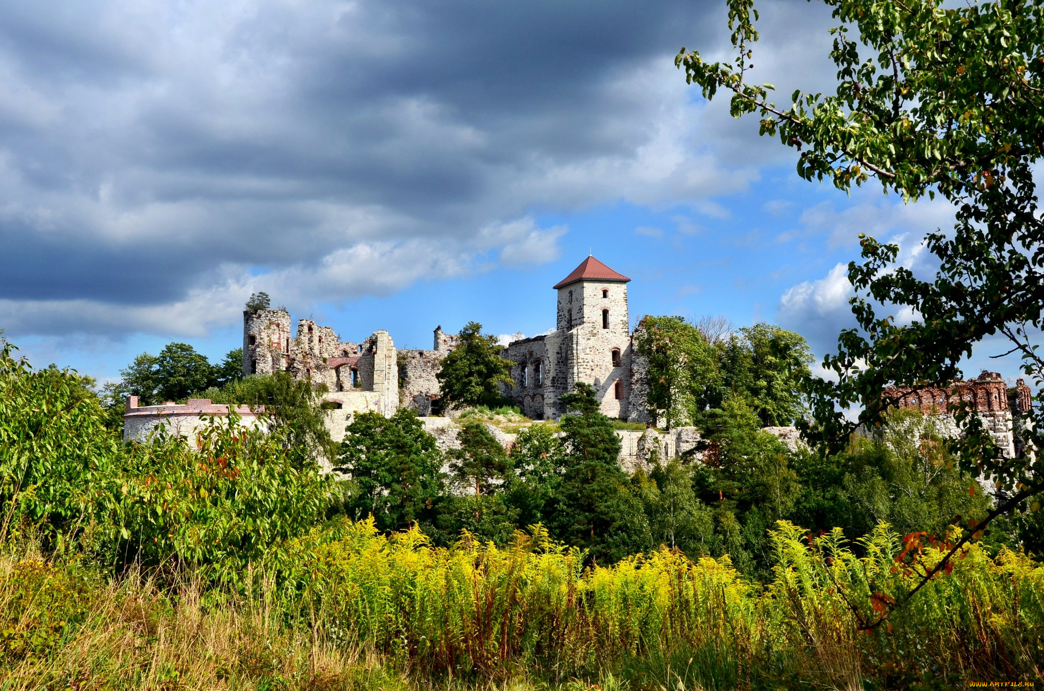 tenczyn, castle, города, исторические, архитектурные, памятники, замок, природа