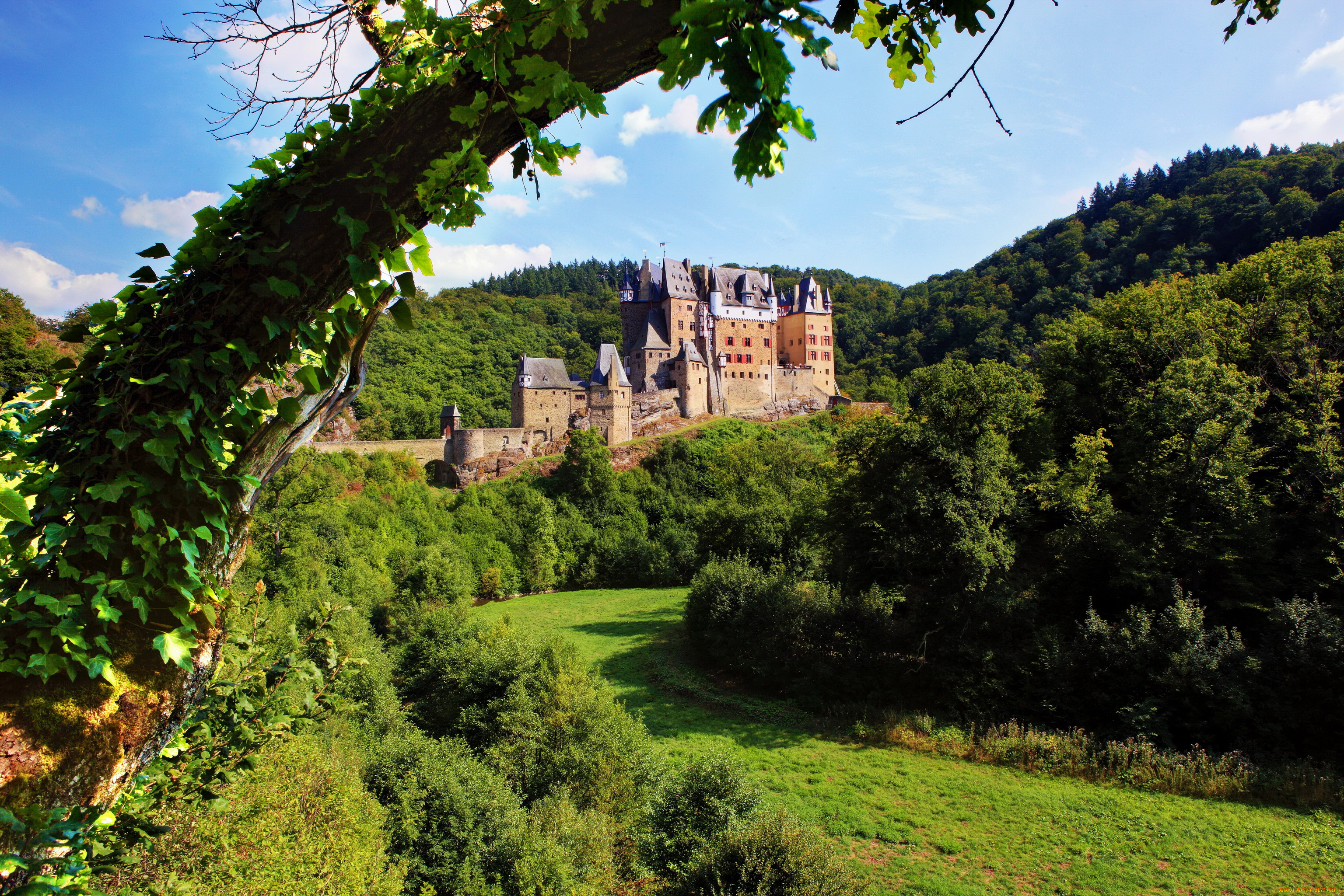 burg, eltz, германия, города, дворцы, замки, крепости, парк, замок