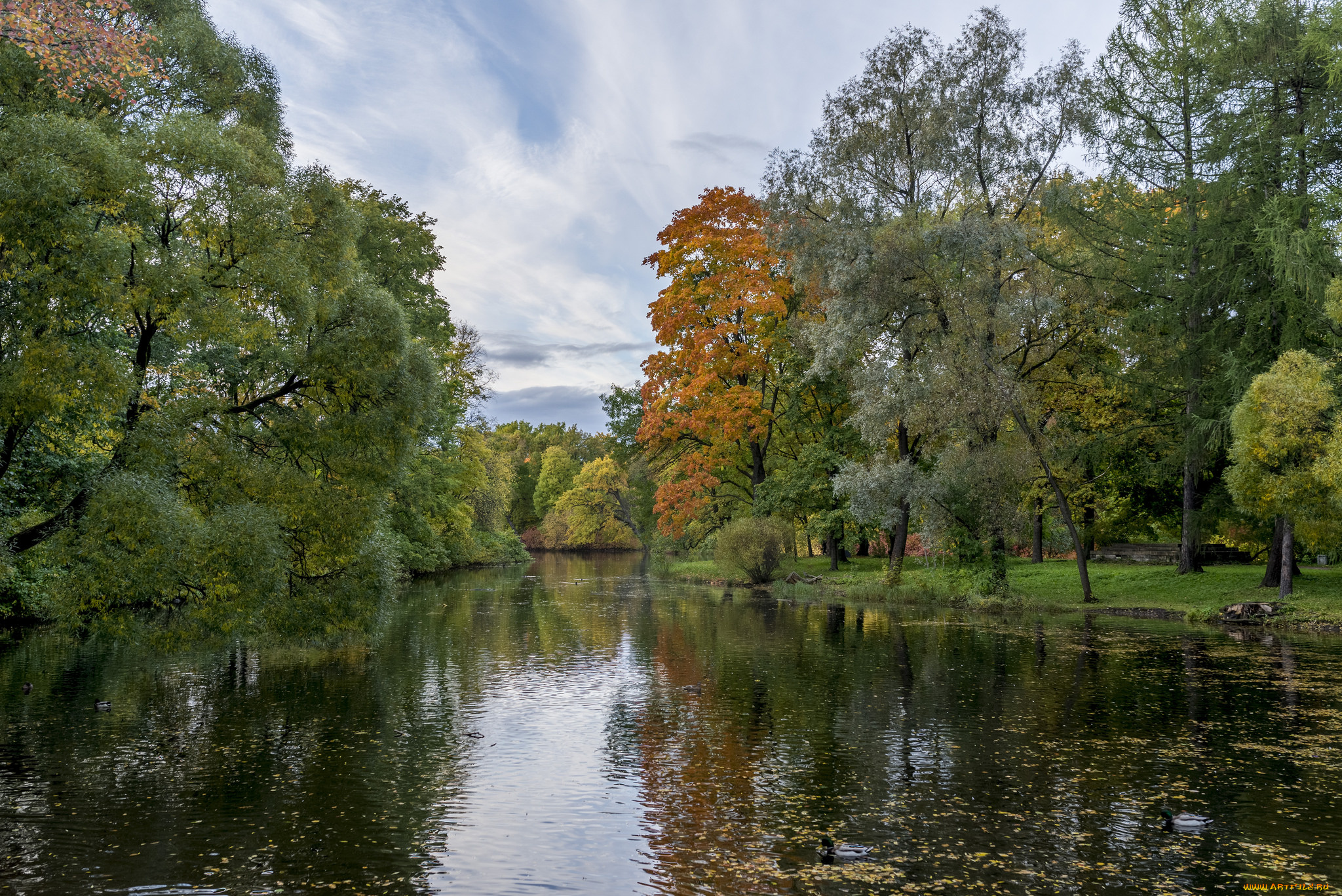 природа, реки, озера, простор