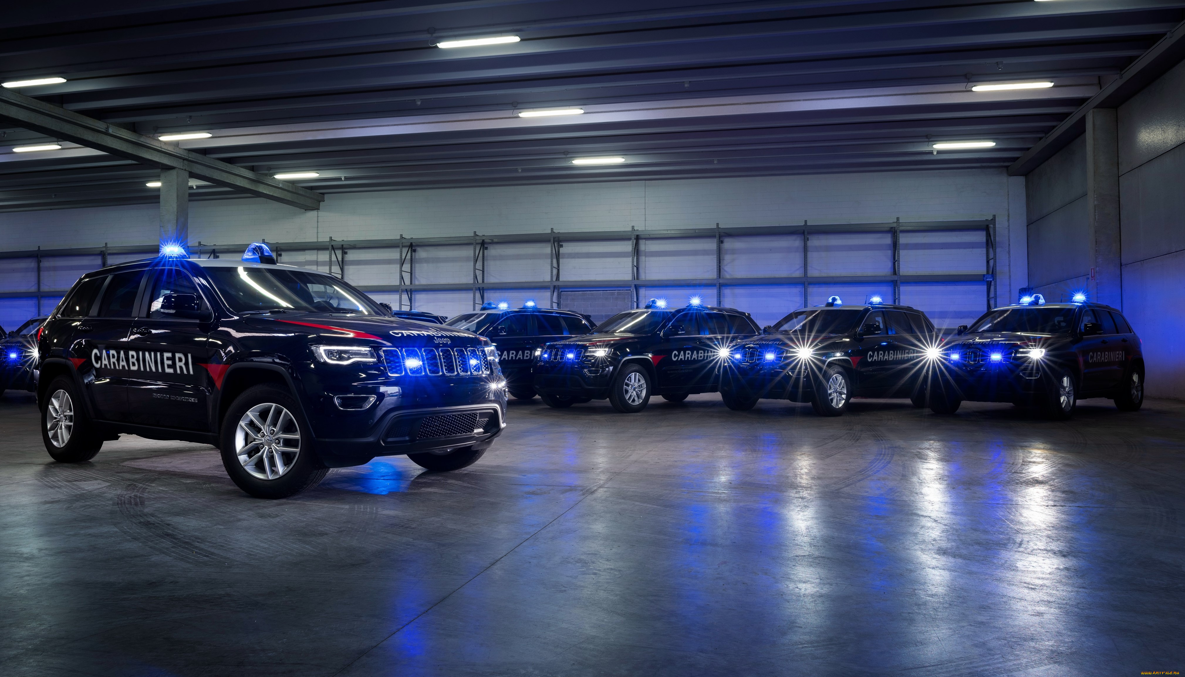 автомобили, полиция, jeep