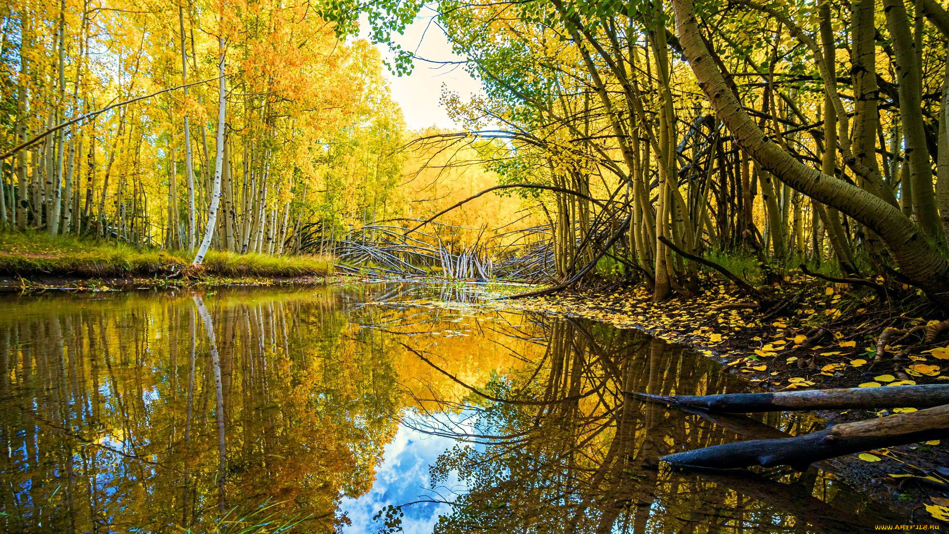 duck, creek, utah, природа, реки, озера, duck, creek