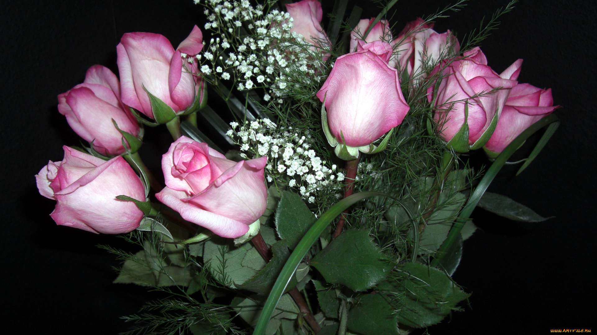 цветы, розы, гипсофила, розовые