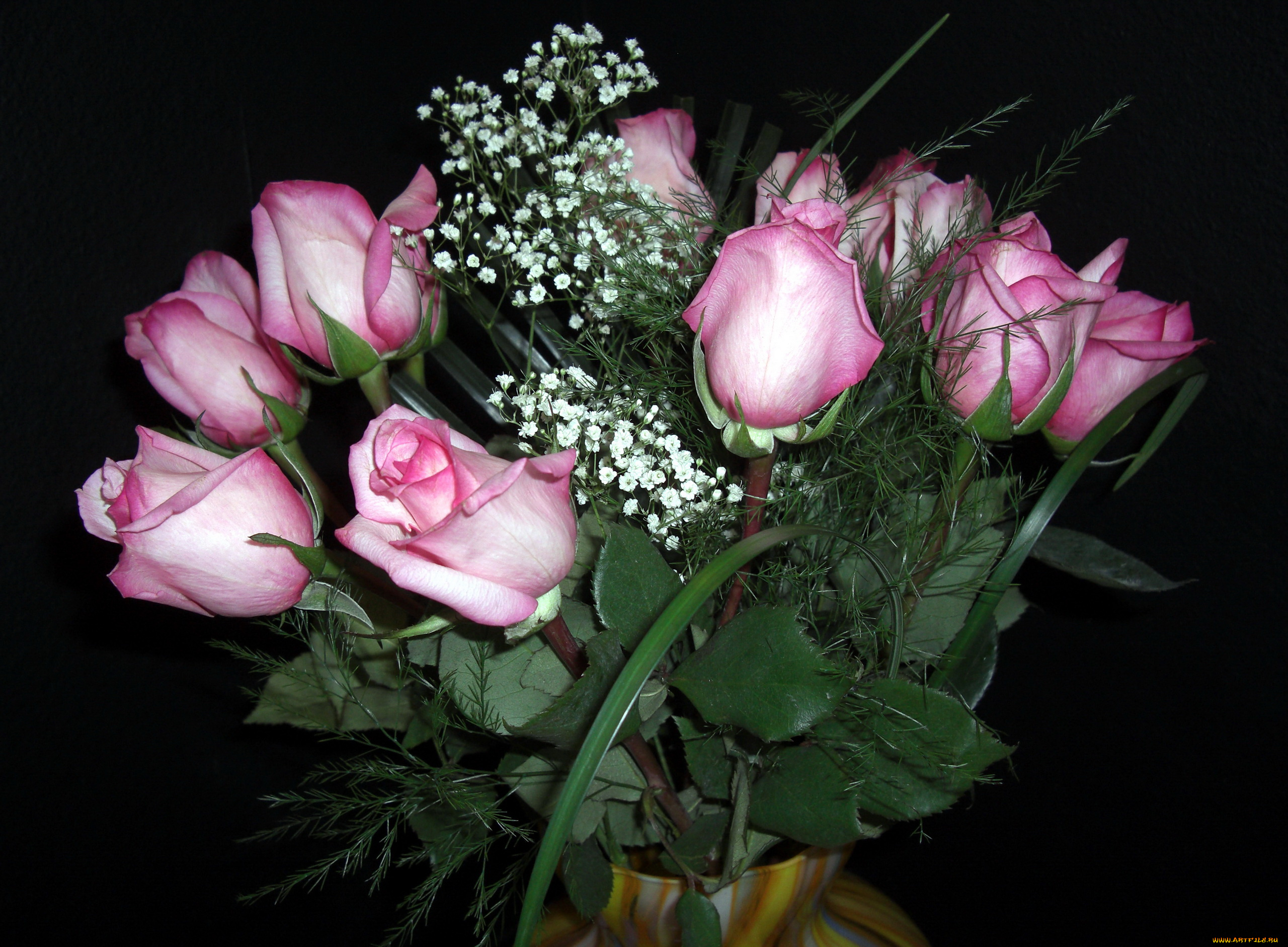 цветы, розы, гипсофила, розовые