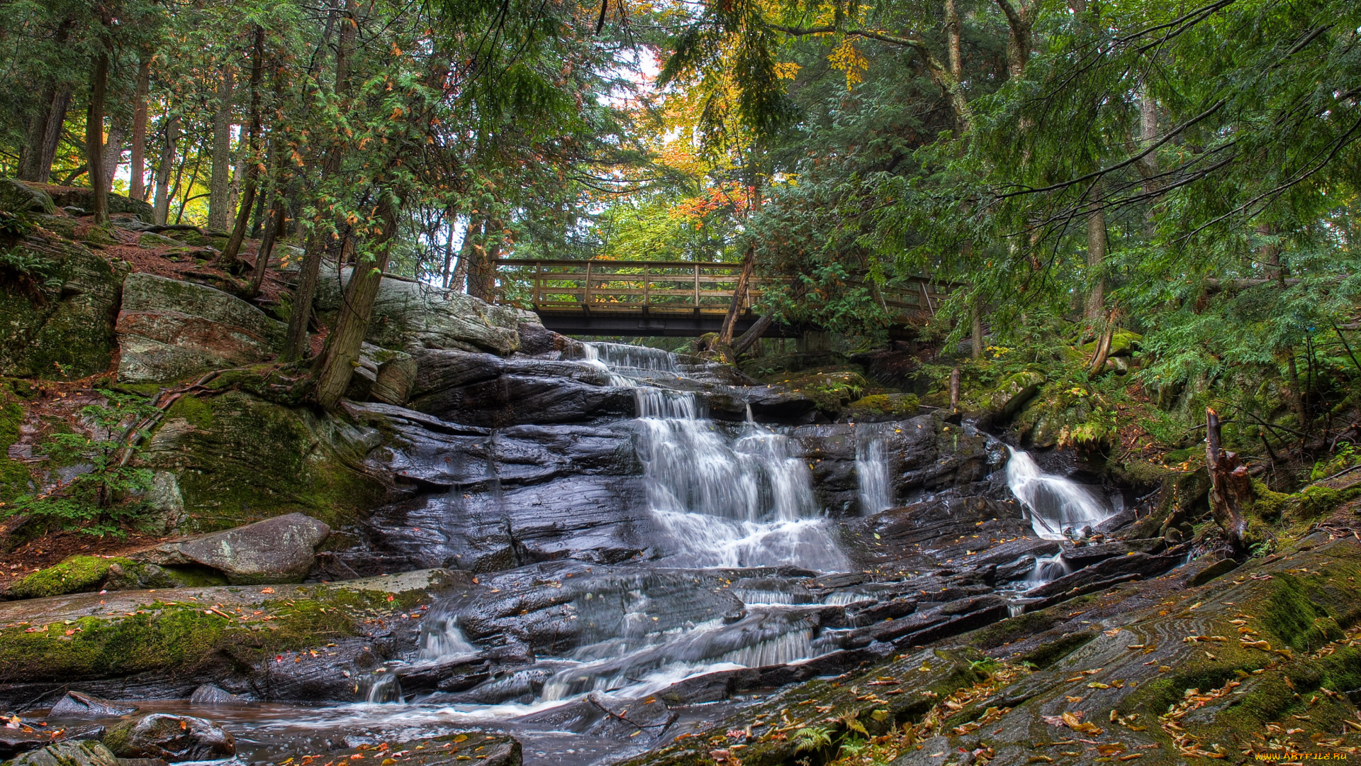 bracebridge, , ontario, , канада, природа, водопады, мост, водопад, лес, канада, ontario