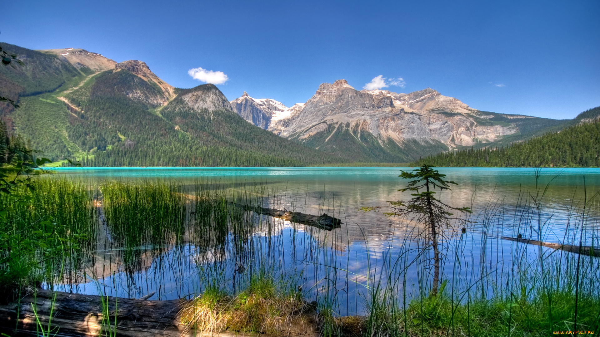 emerald, lake, yoho, national, park, , , canada, природа, реки, озера, горы, озеро, emerald, canada, national, park, лес, lake, yoho