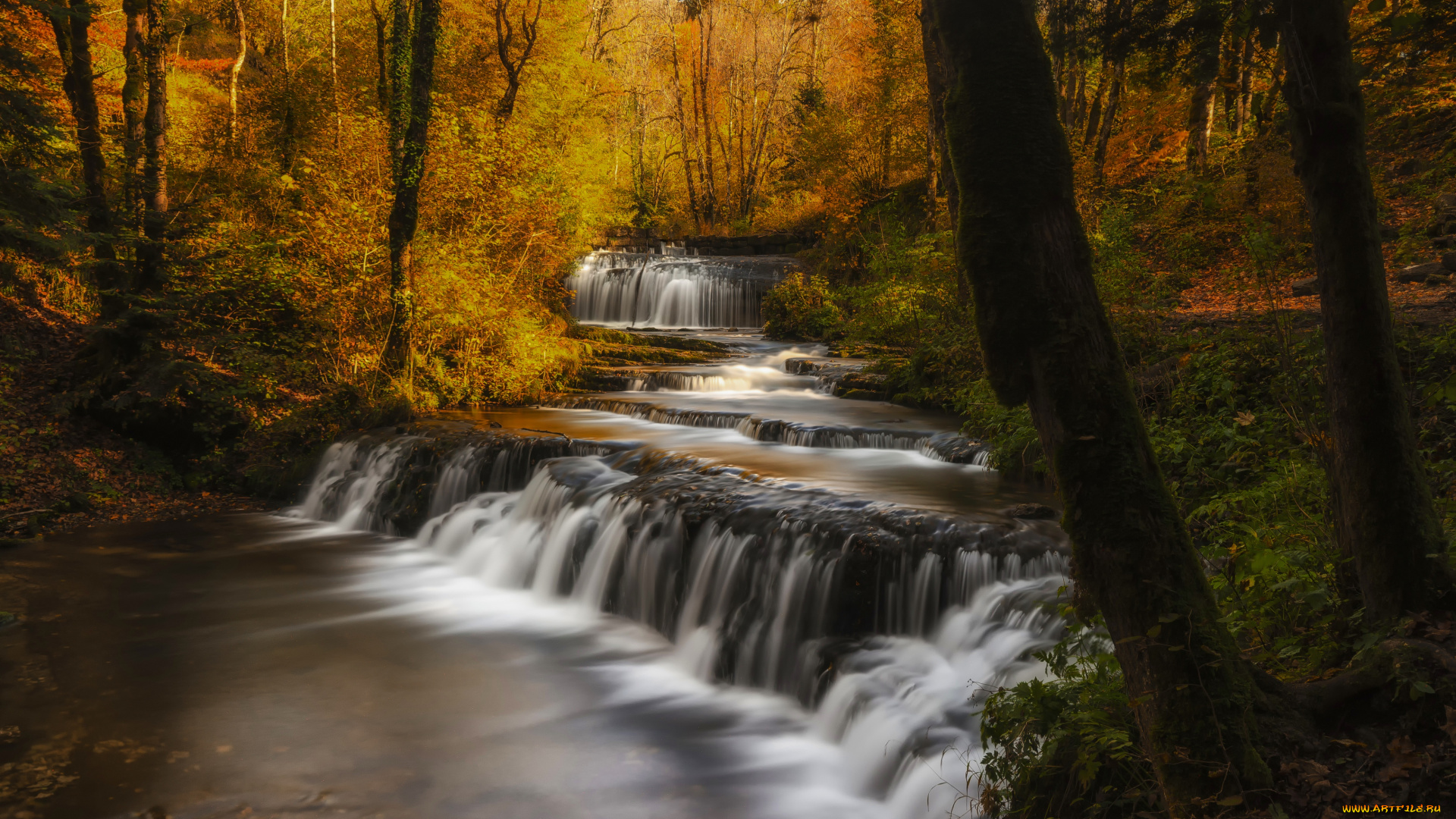 природа, реки, озера, лес, вода