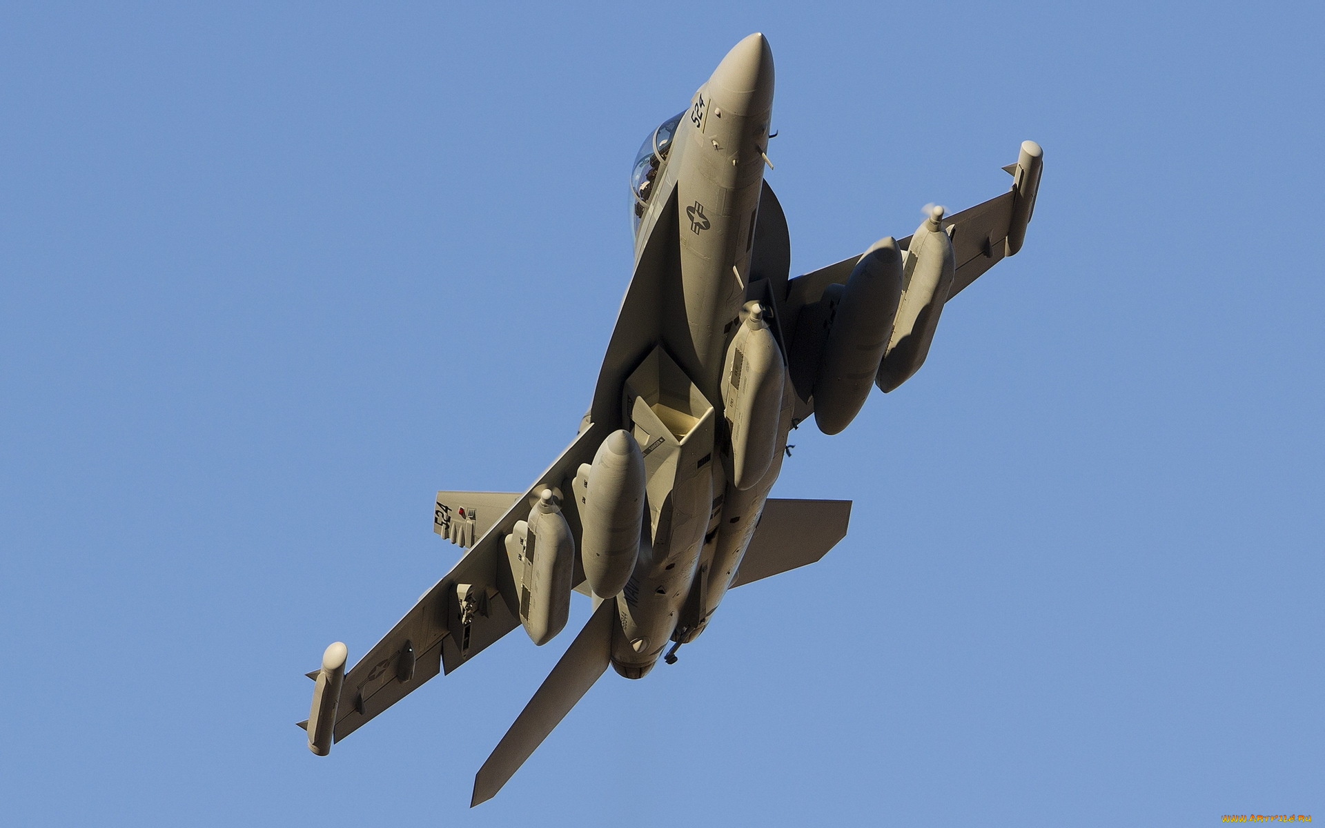 авиация, боевые, самолёты, thunder42, vaq-135, black, ravens, f-18g