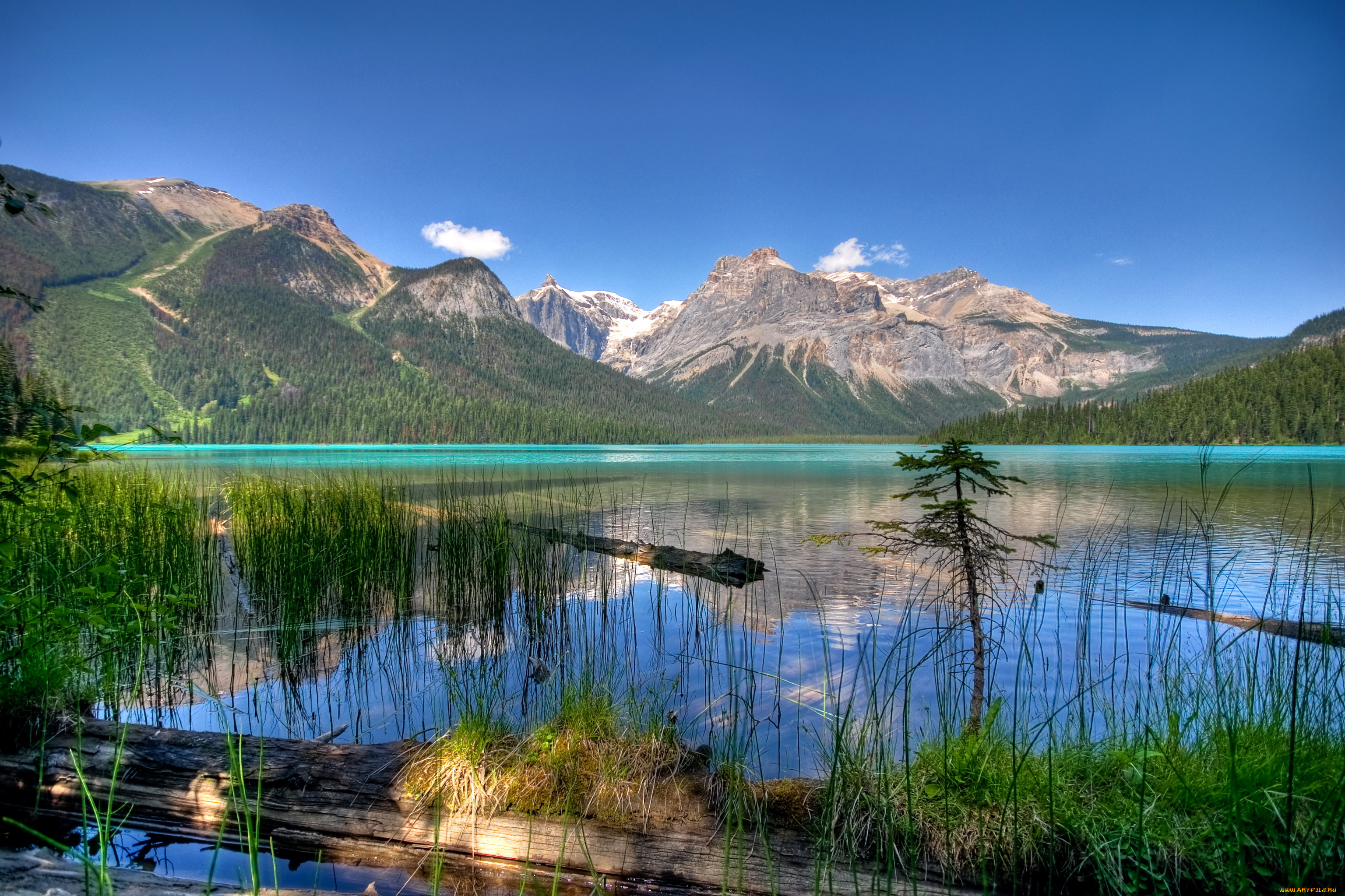 emerald, lake, yoho, national, park, , , canada, природа, реки, озера, горы, озеро, emerald, canada, national, park, лес, lake, yoho