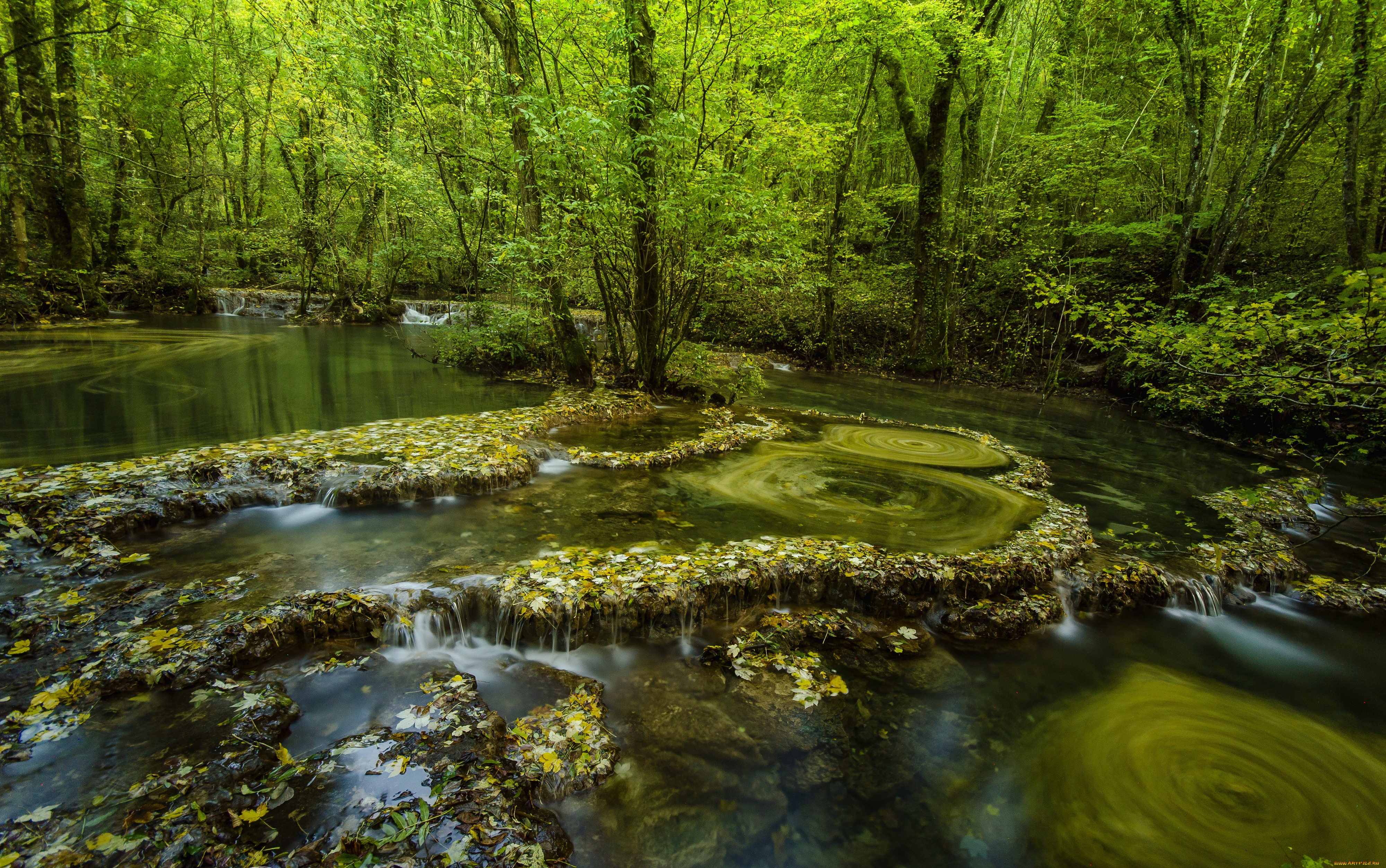 природа, реки, озера, лес, вода