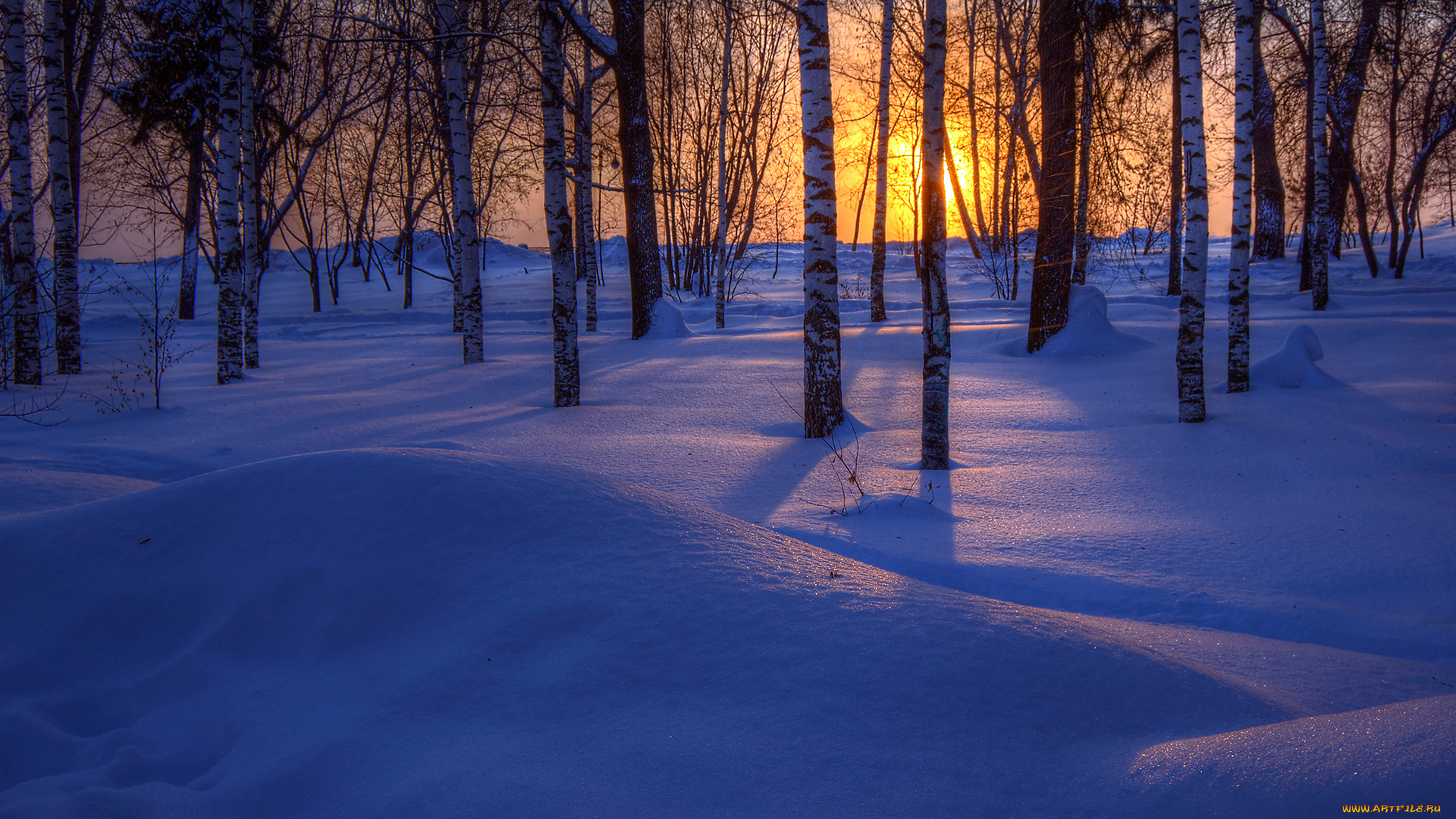 природа, зима, деревья, снег, закат, лес
