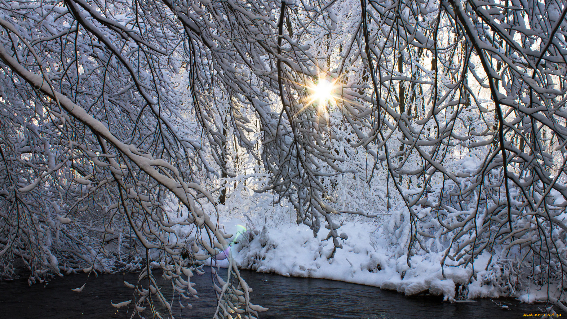 природа, зима, река, деревья, снег