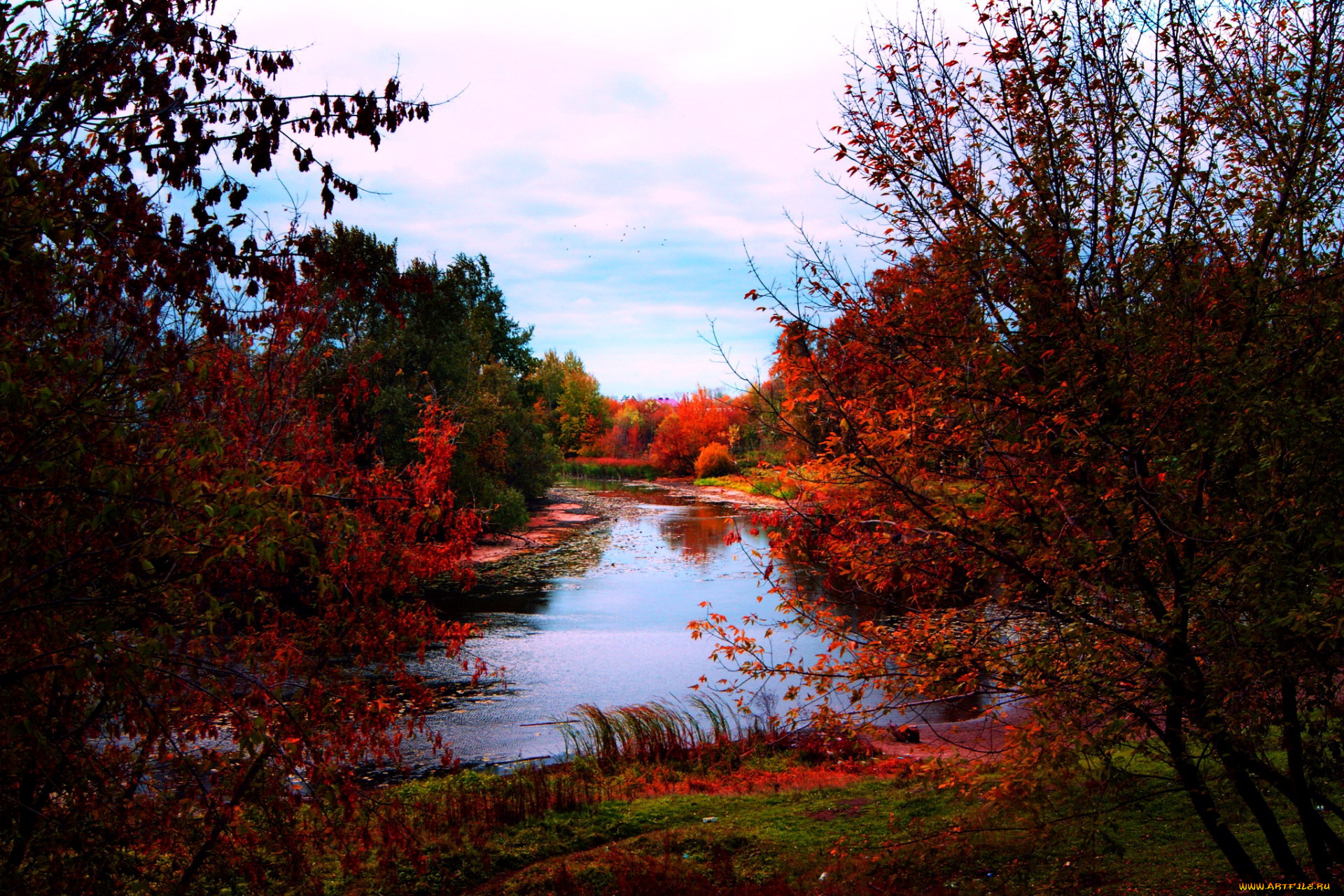 природа, реки, озера, осень, багрянец, деревья, река