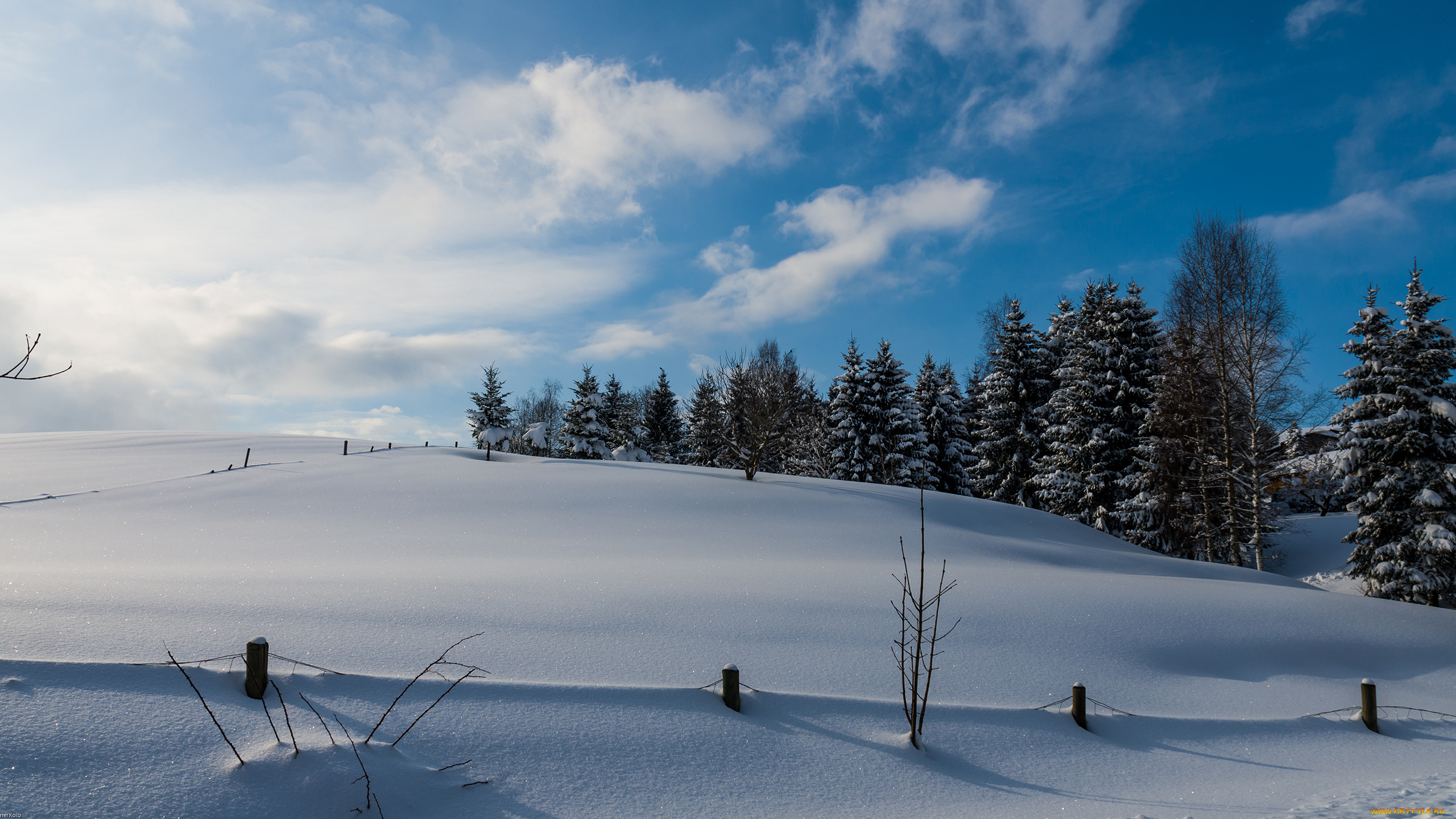 природа, зима, снег, деревья, забор
