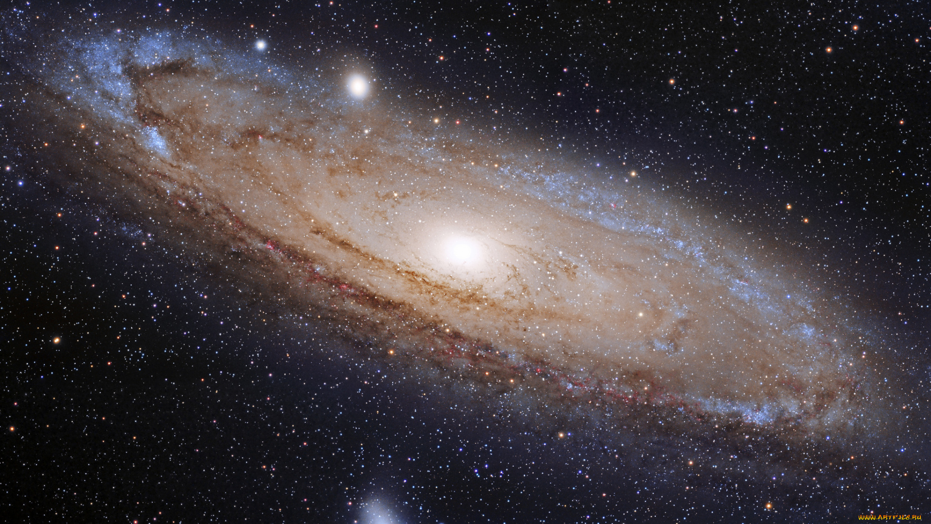 andromeda, galaxy, космос, галактики, туманности, пространство, галактика