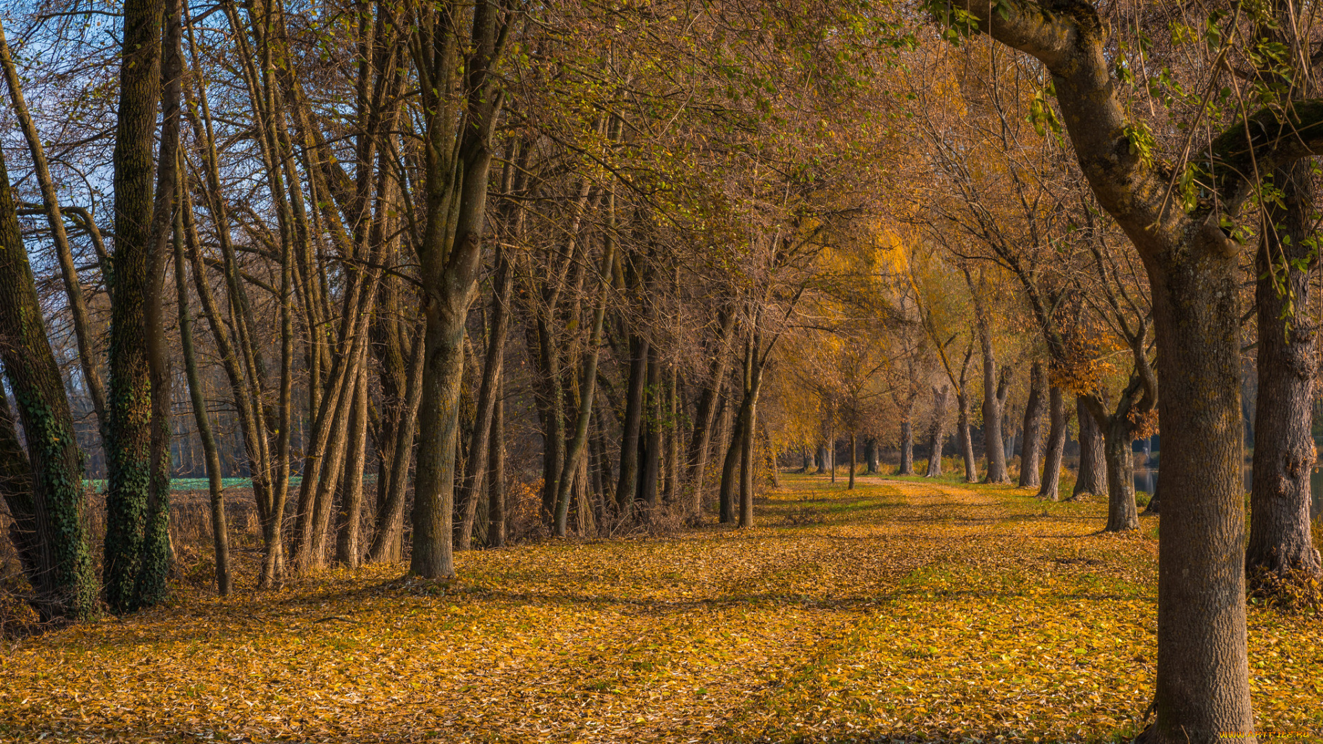 природа, дороги, простор