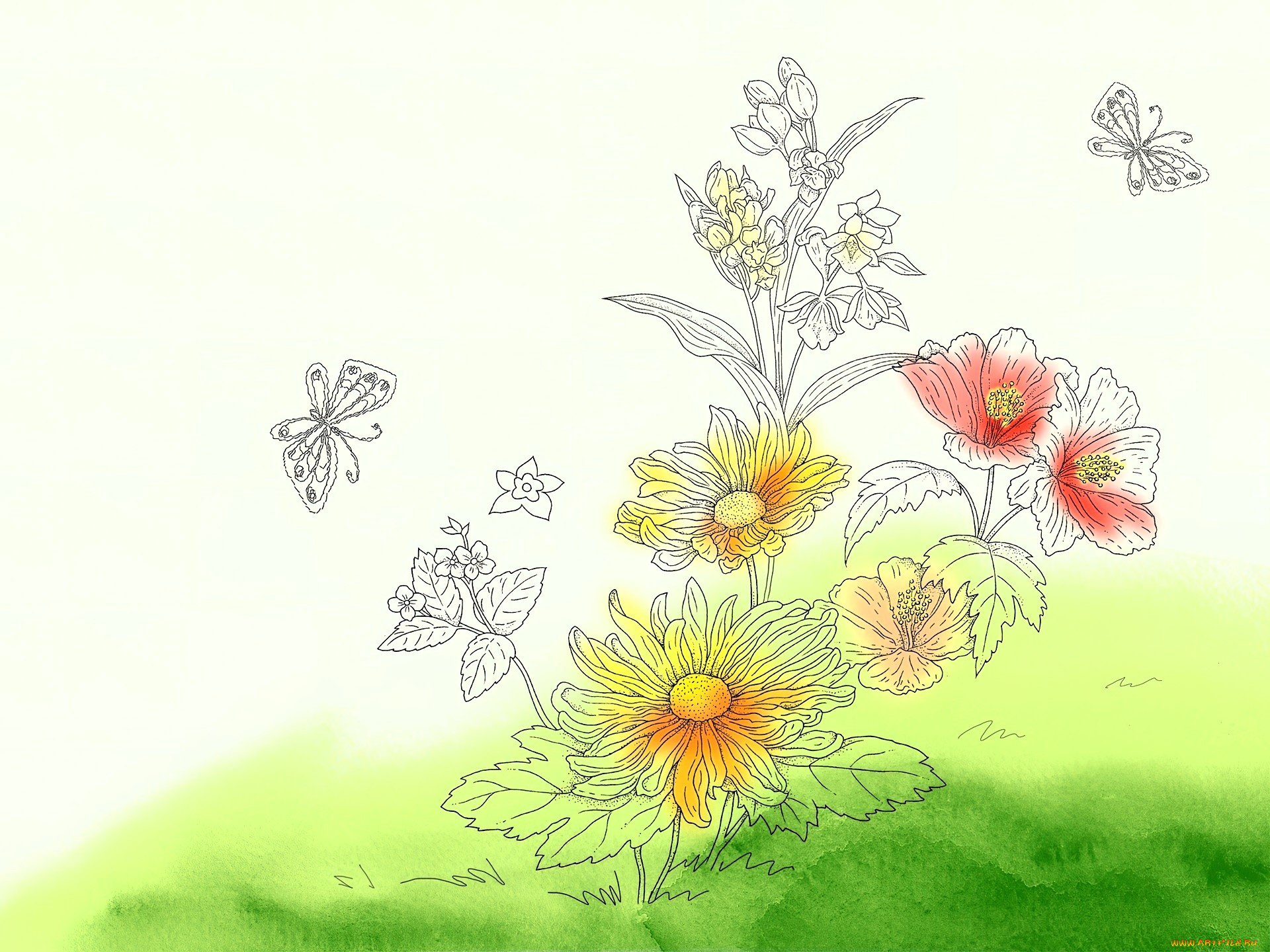 рисованное, цветы, бабочки