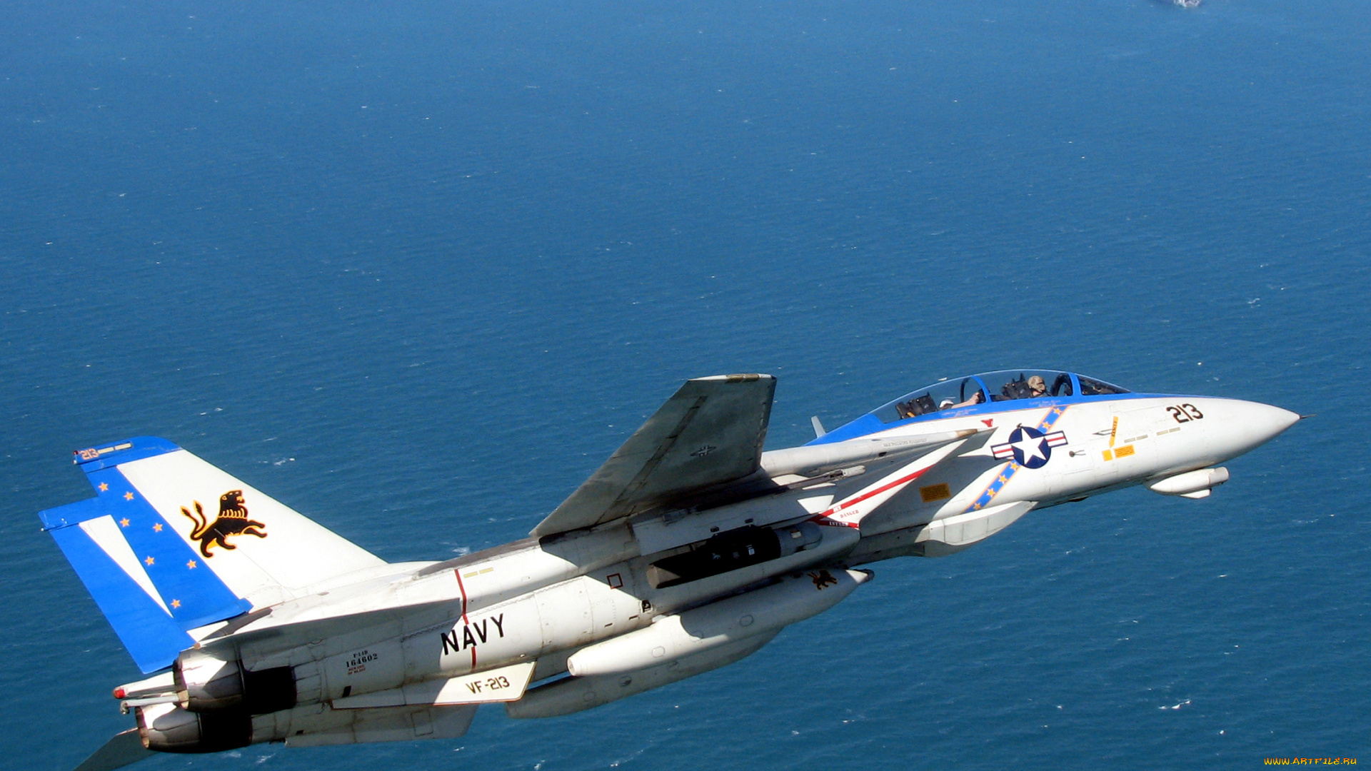 grumman, 14, tomcat, авиация, боевые, самолёты, f-14