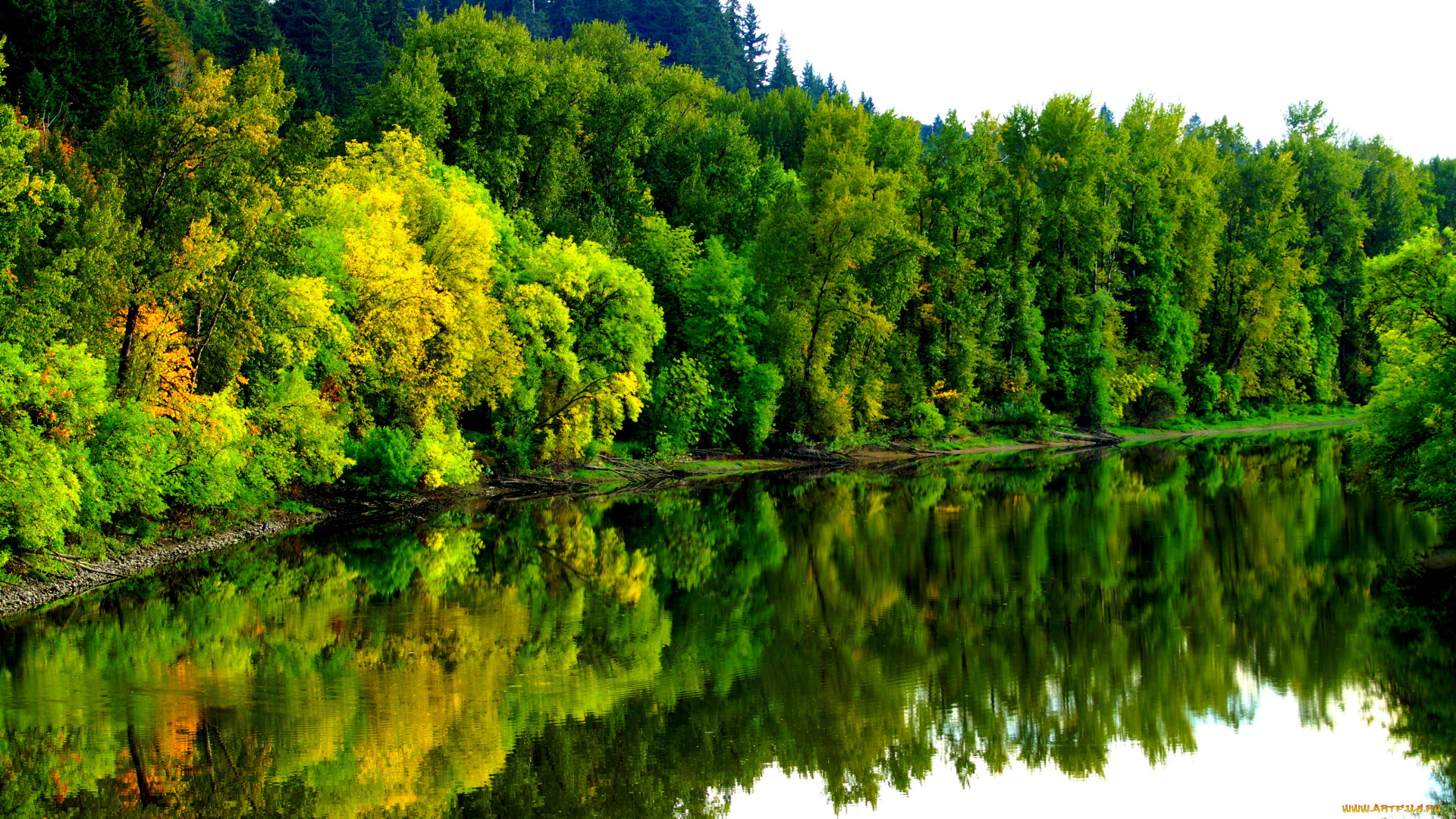 природа, реки, озера, отражение