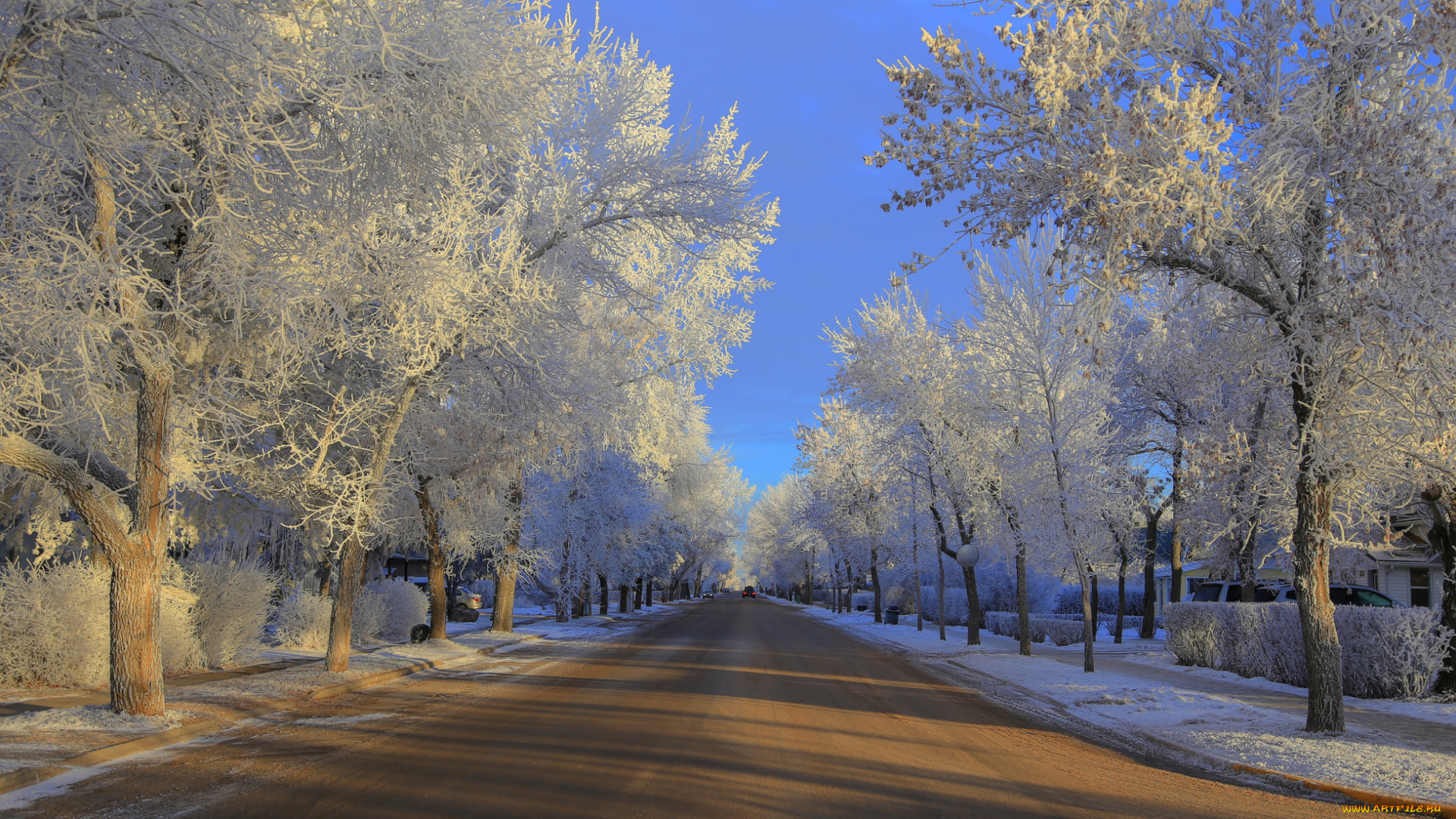природа, зима, деревья, машины, дорога, мороз, иней
