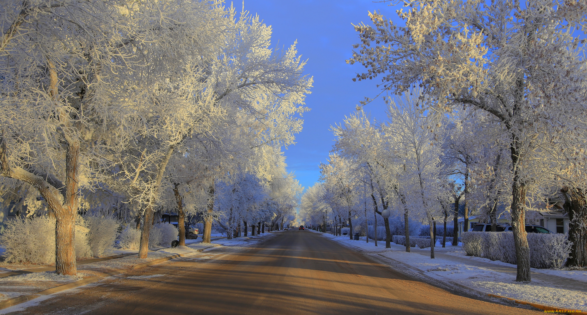 природа, зима, деревья, машины, дорога, мороз, иней