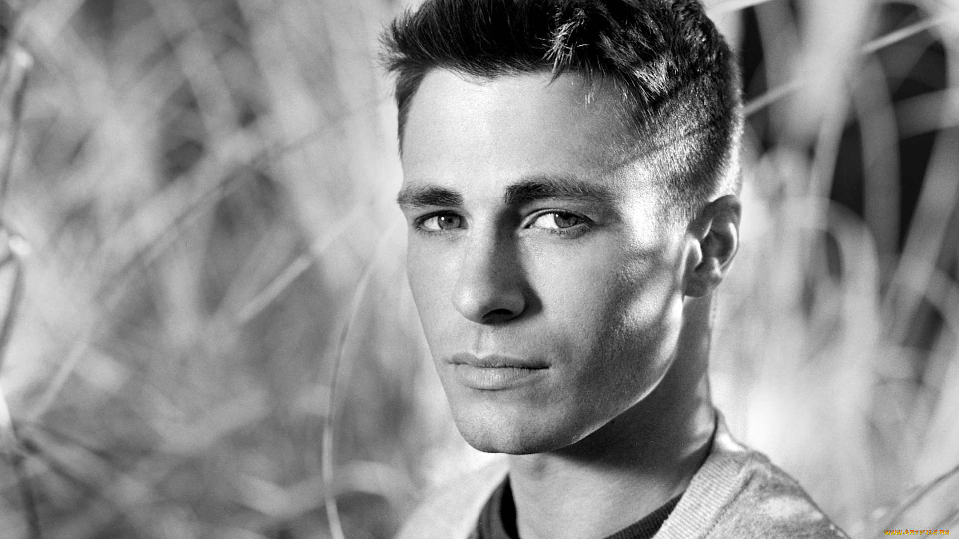 мужчины, colton, haynes, colton, haynes