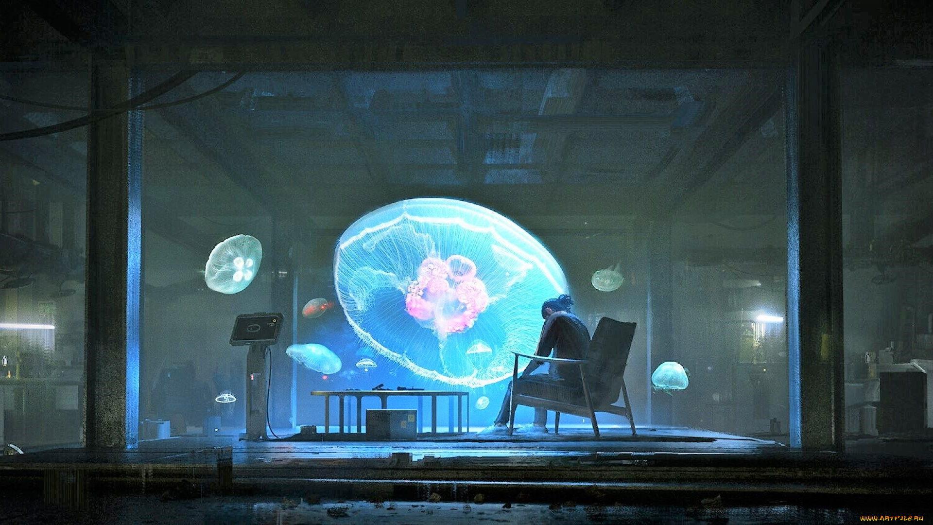 фэнтези, иные, миры, , иные, времена, человек, комнаты, медузы