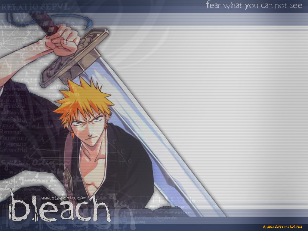 аниме, bleach