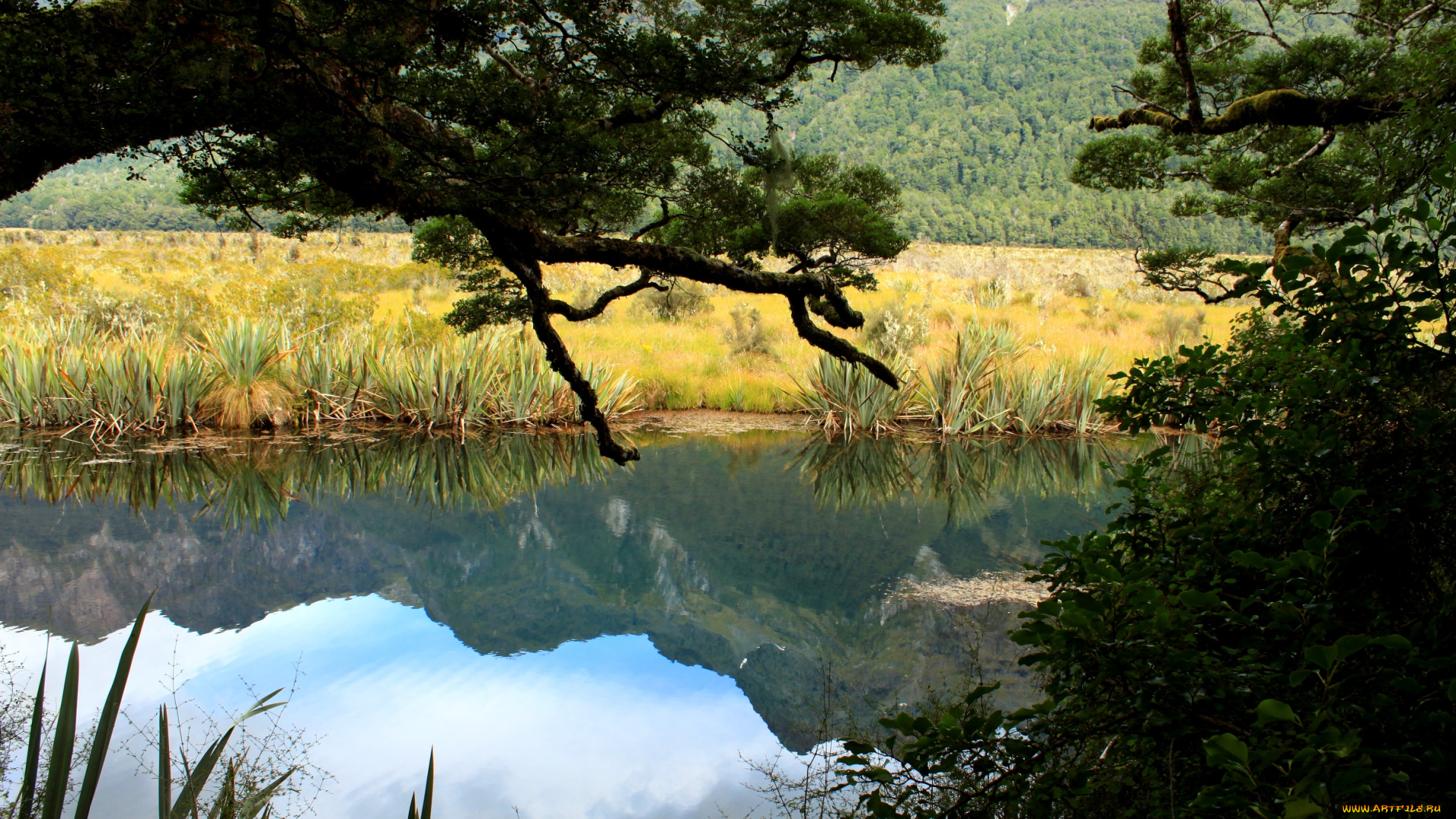 природа, реки, озера, озеро, fiordland