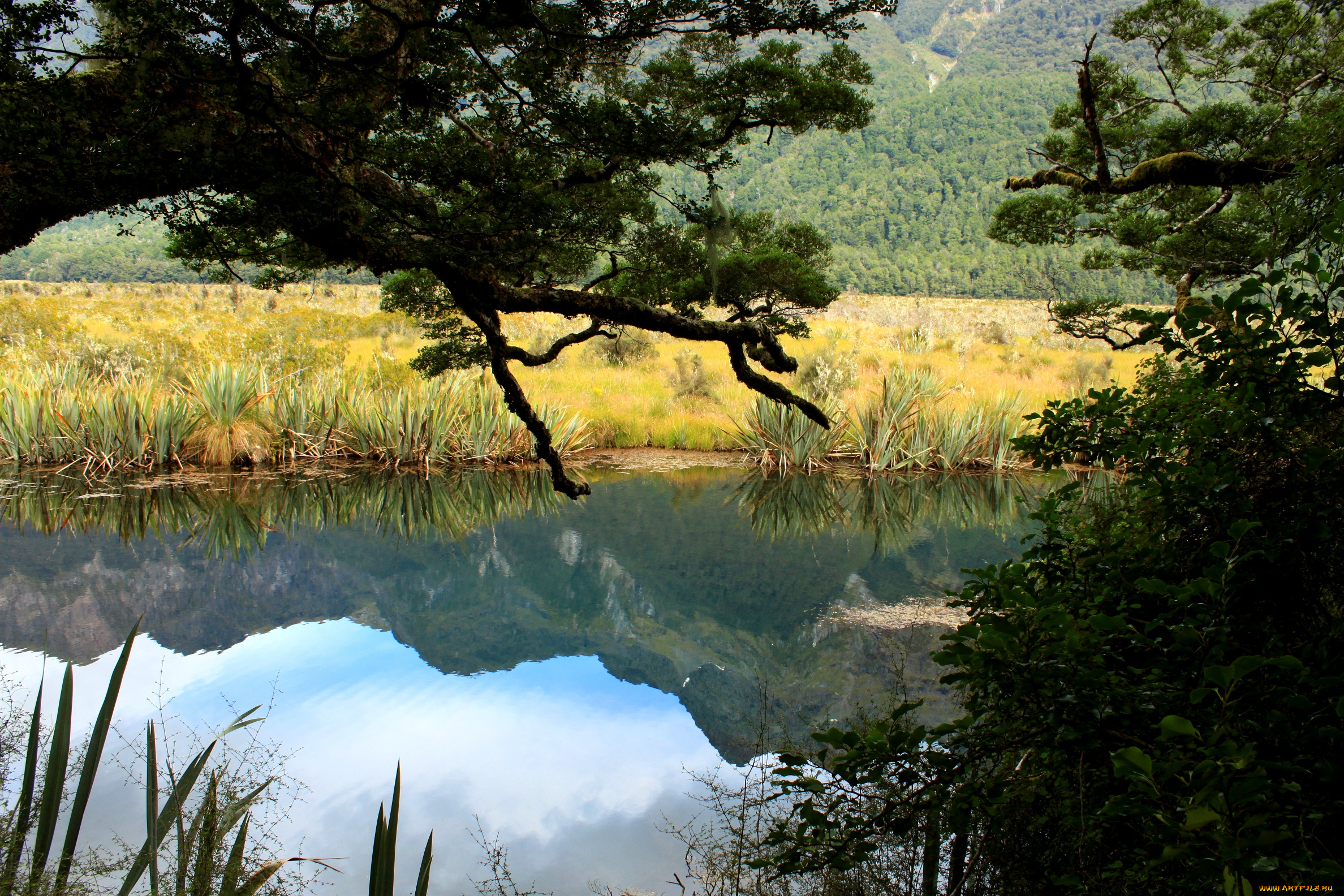 природа, реки, озера, озеро, fiordland