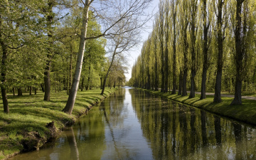 Картинка природа парк аллея деревья речка