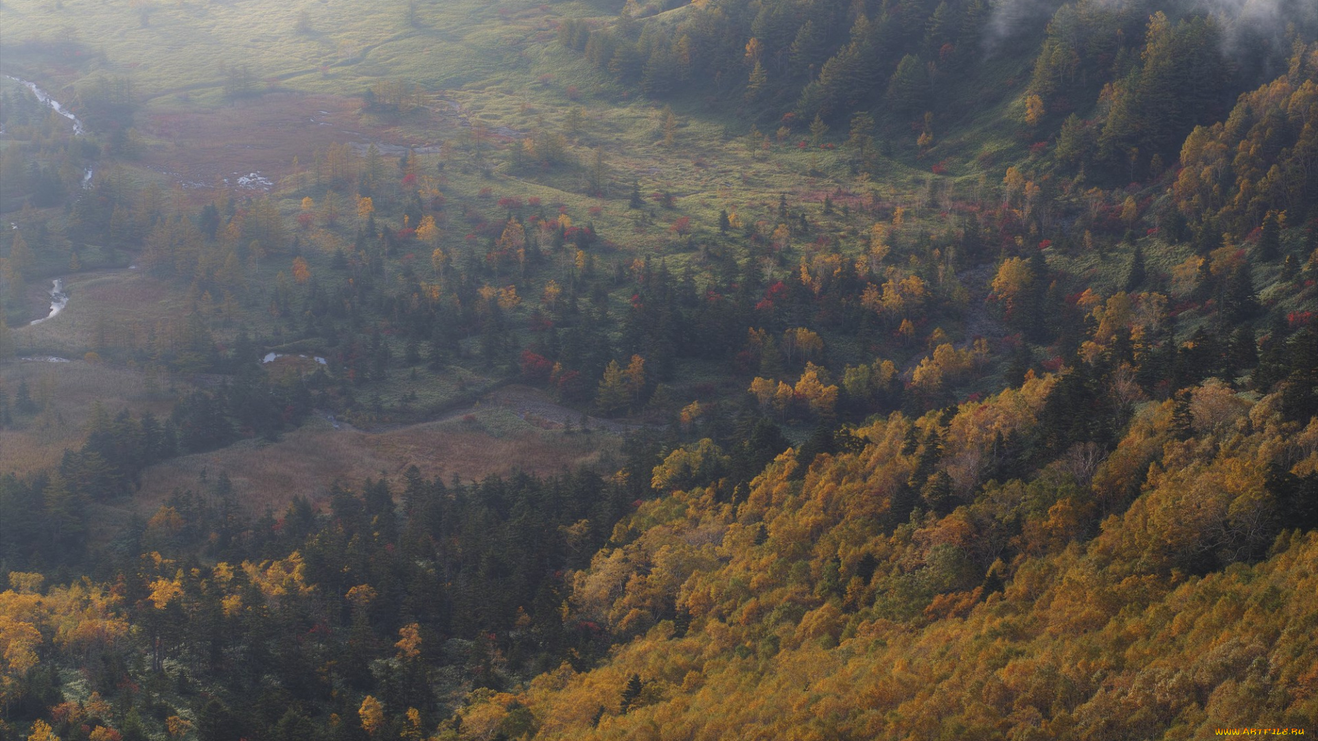 природа, горы, takaten, осень, туман, утро, деревья, склоны, лес