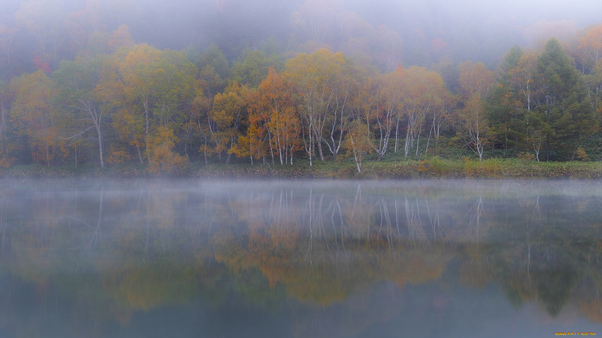 природа, реки, озера, вода, takaten, туман, осень, утро, деревья