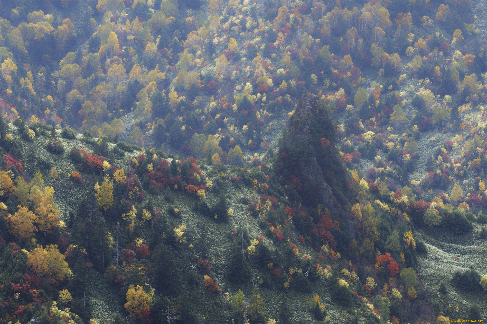 природа, лес, takaten, осень, деревья, склоны, горы