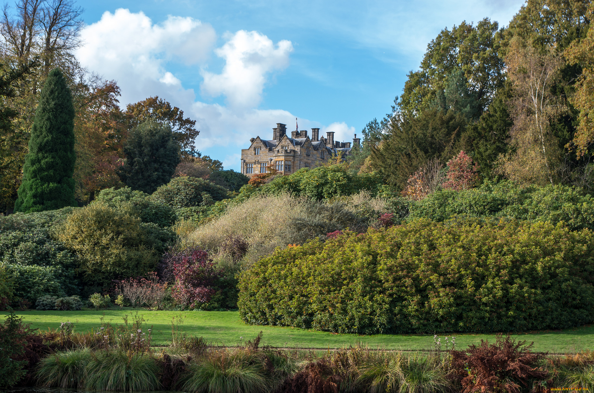 scotney, castle, города, -, пейзажи, замок, река, лес