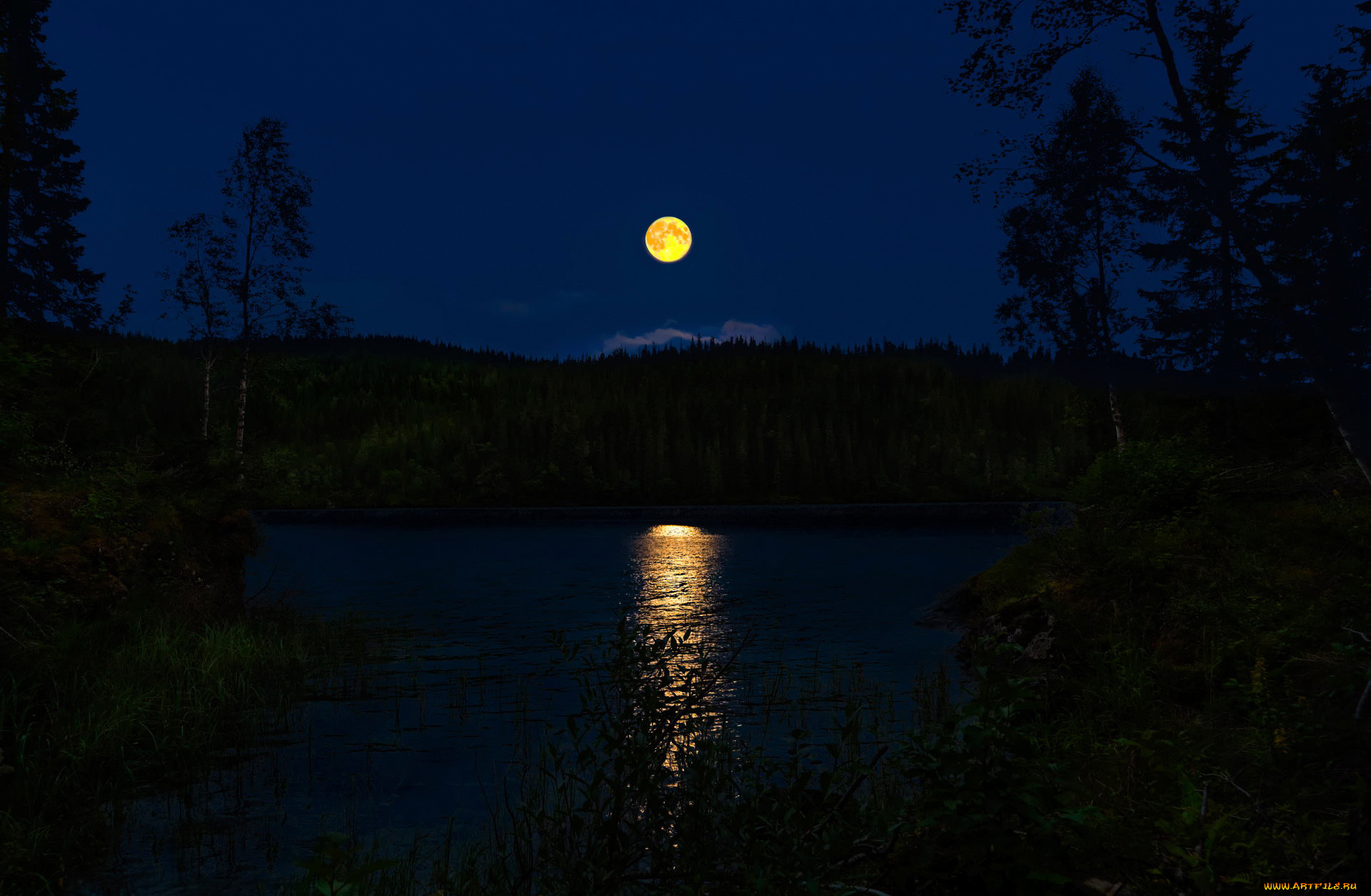 Золотою луна распласталась на тихой воде. Полнолуние Кольский полуостров. Луна над озером. Луна в лесу. Луна река.