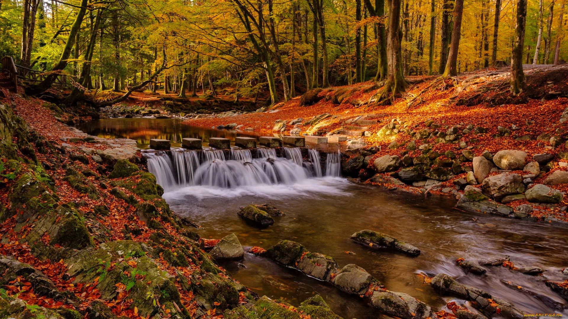 tollymore, forest, park, ireland, природа, водопады, tollymore, forest, park