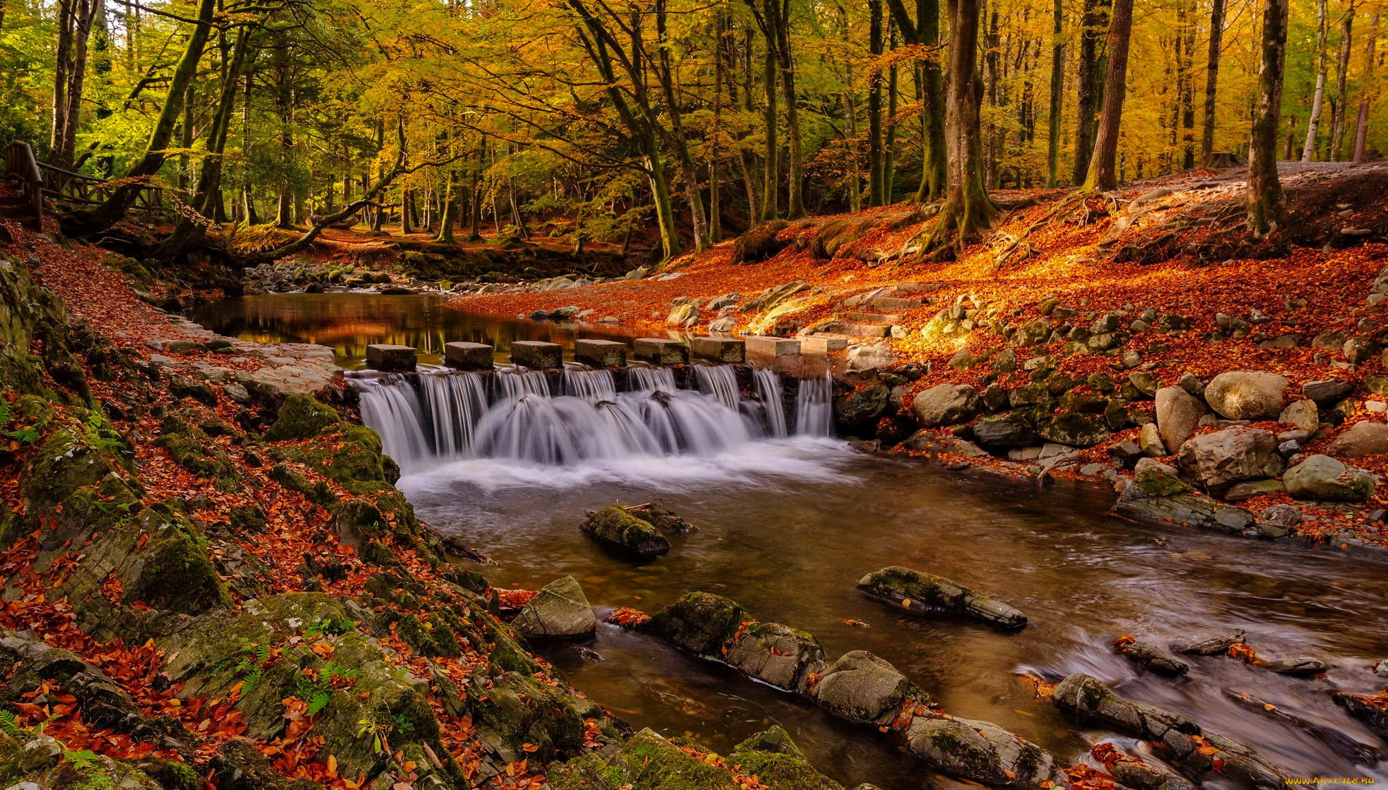 tollymore, forest, park, ireland, природа, водопады, tollymore, forest, park