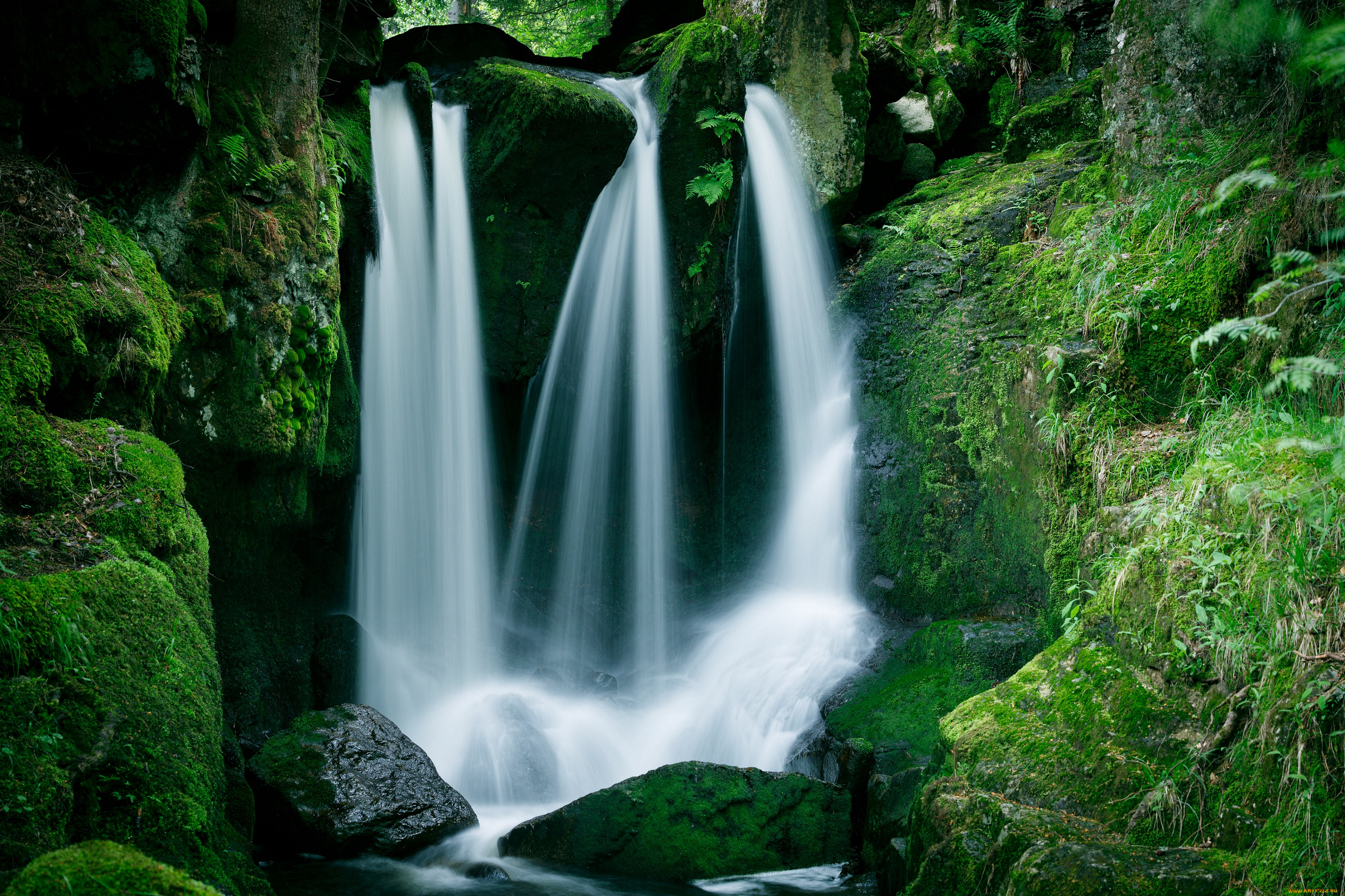 природа, водопады, водопад