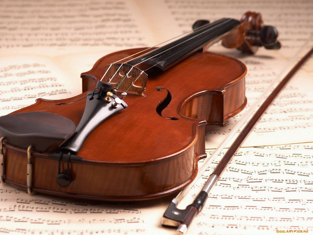 музыка, музыкальные, инструменты, скрипка