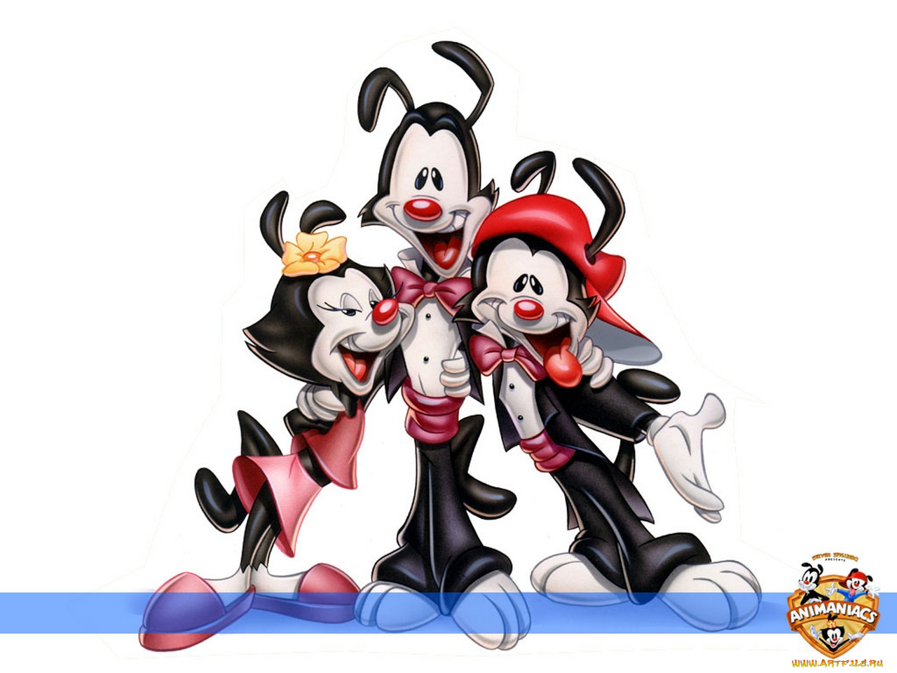 озорные, анимашки, мультфильмы, animaniacs