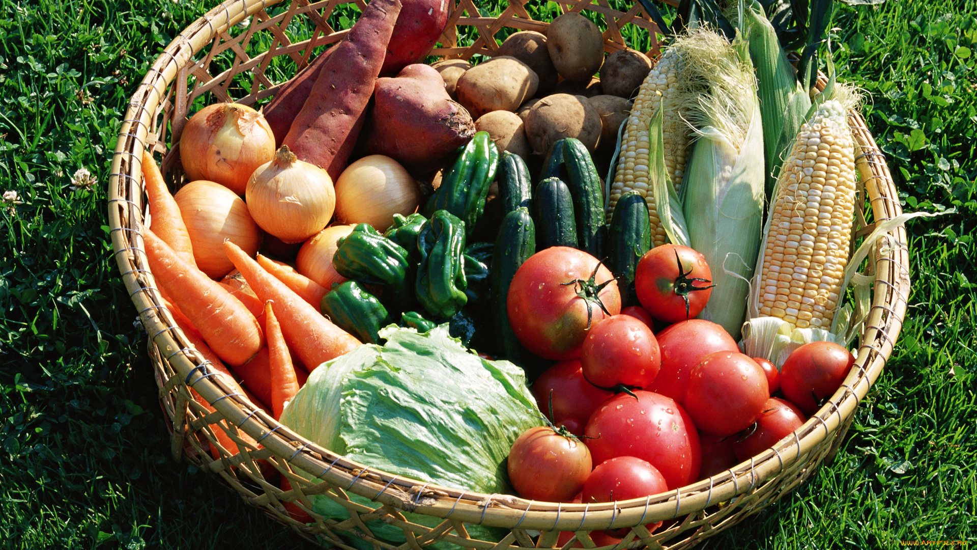 еда, овощи, корзина, помидоры, томаты