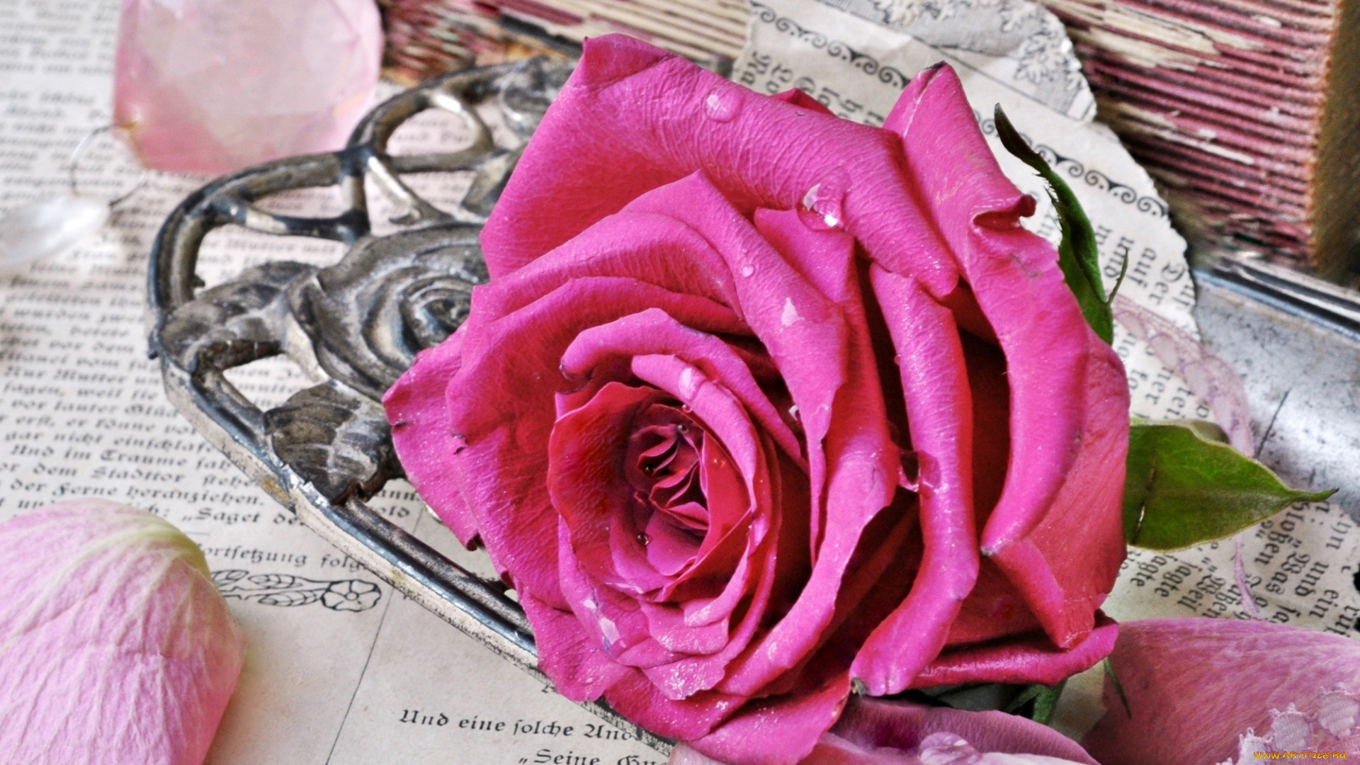 цветы, розы, роза, розовая, бутон, винтаж, стиль, книги, старые, страницы, лепестки