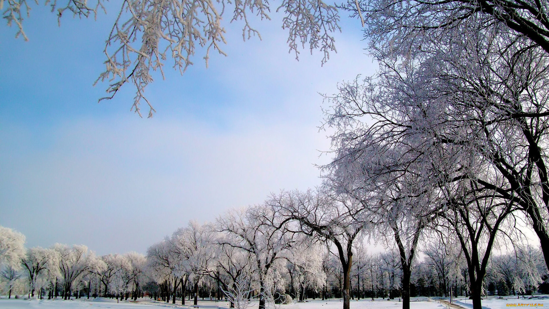 природа, зима, деревья, снег, мороз, дорога, иней