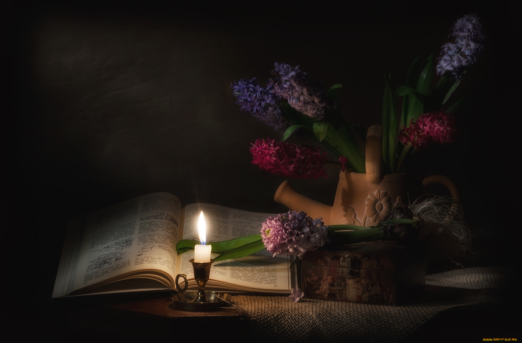 цветы, гиацинты, книга, свеча